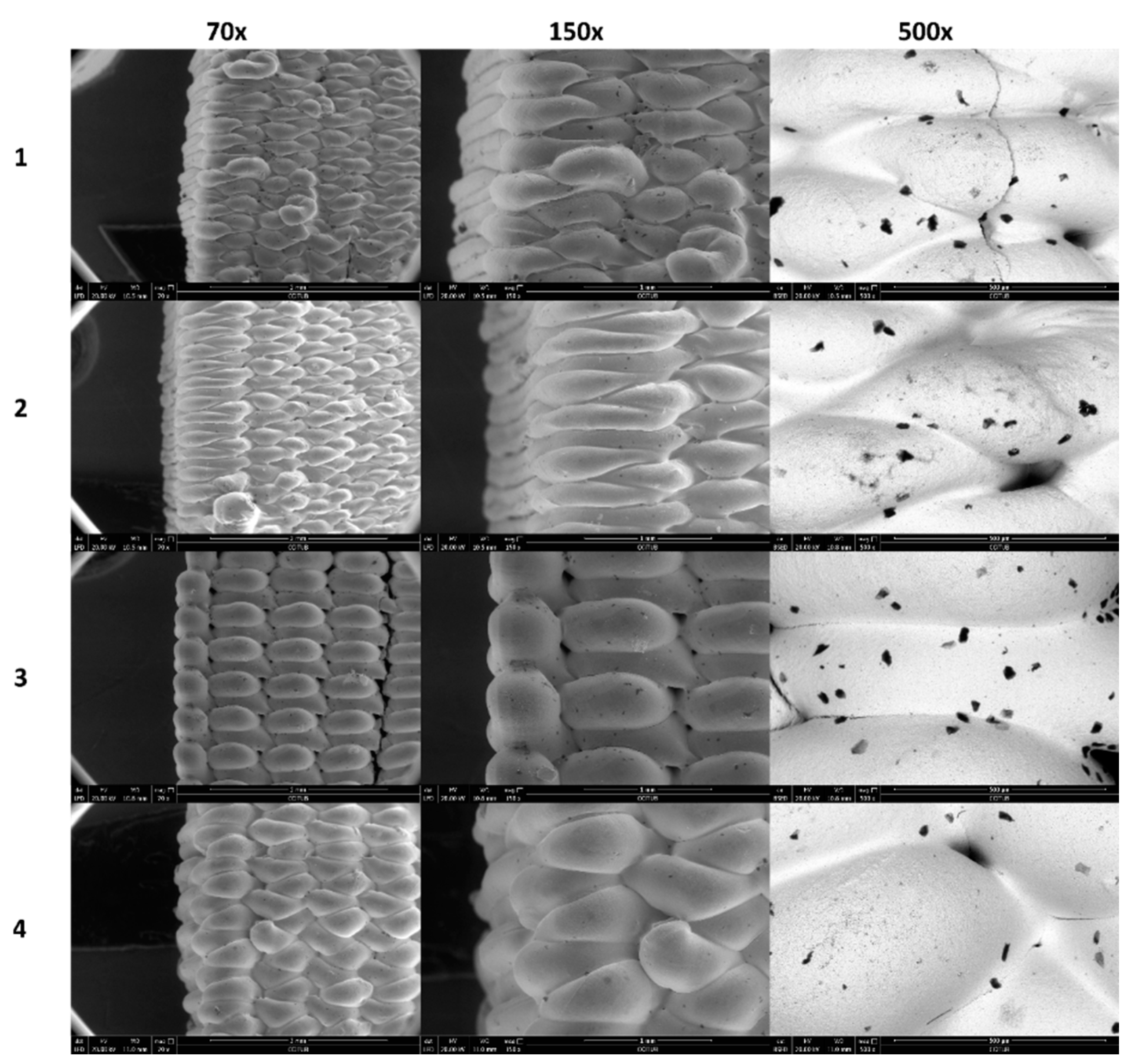 Nanomaterials 11 02942 g006 Nanomaterials 11 02942 g006