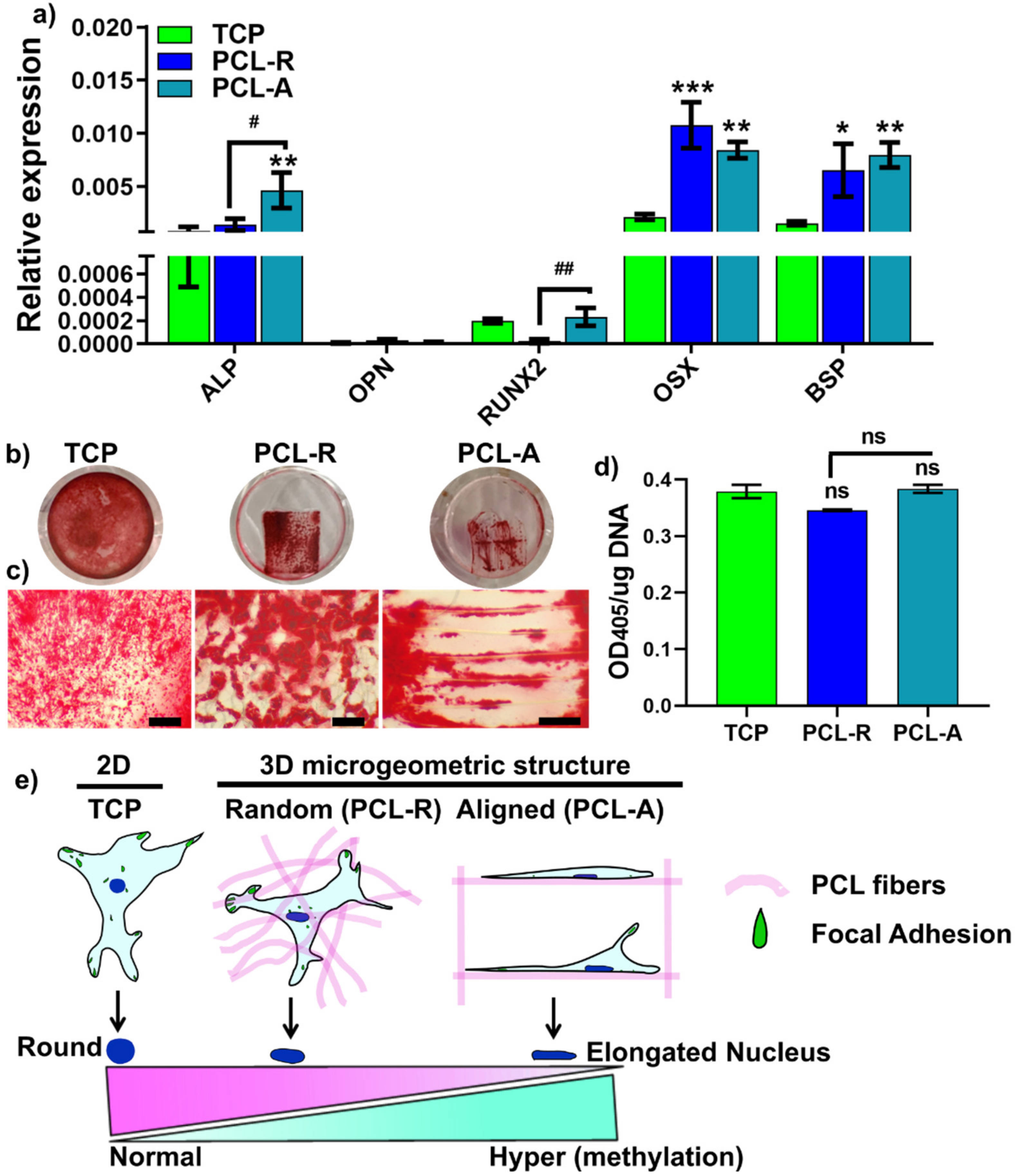 Nanomaterials 11 02943 g005