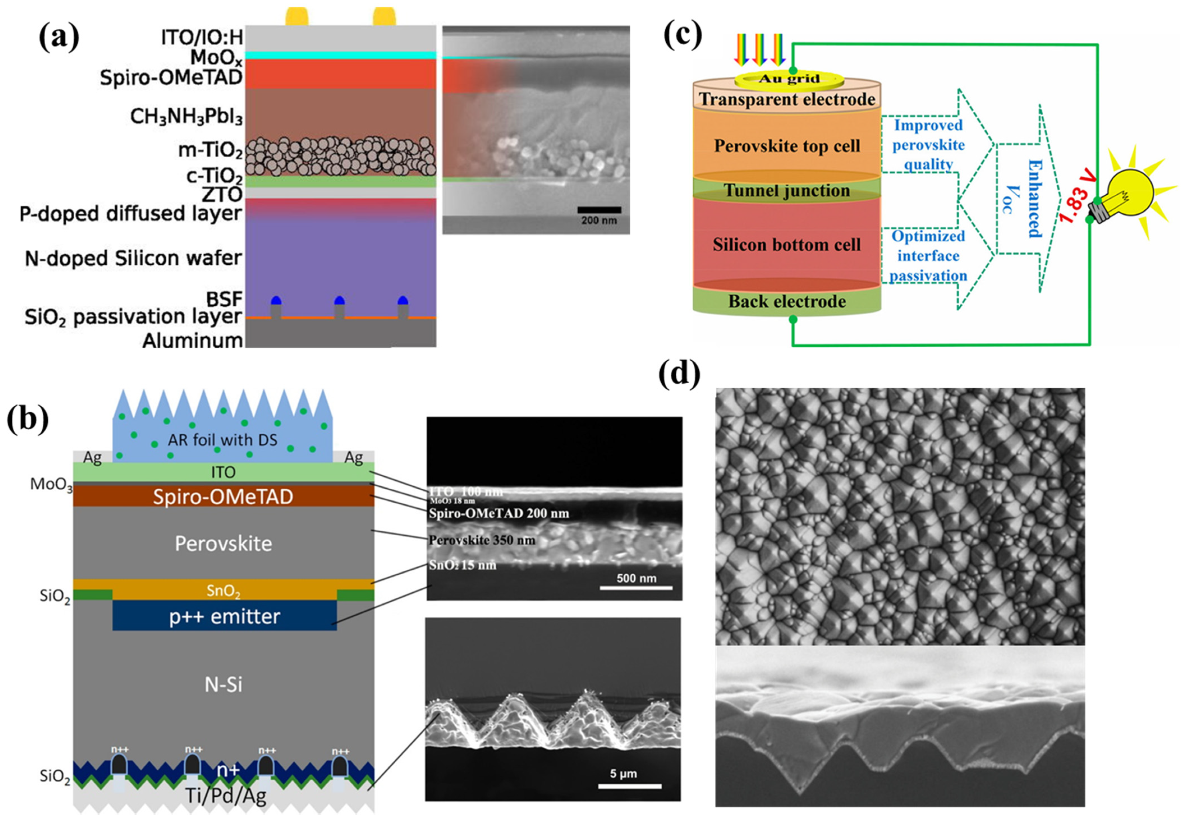 Nanomaterials 11 02944 g020