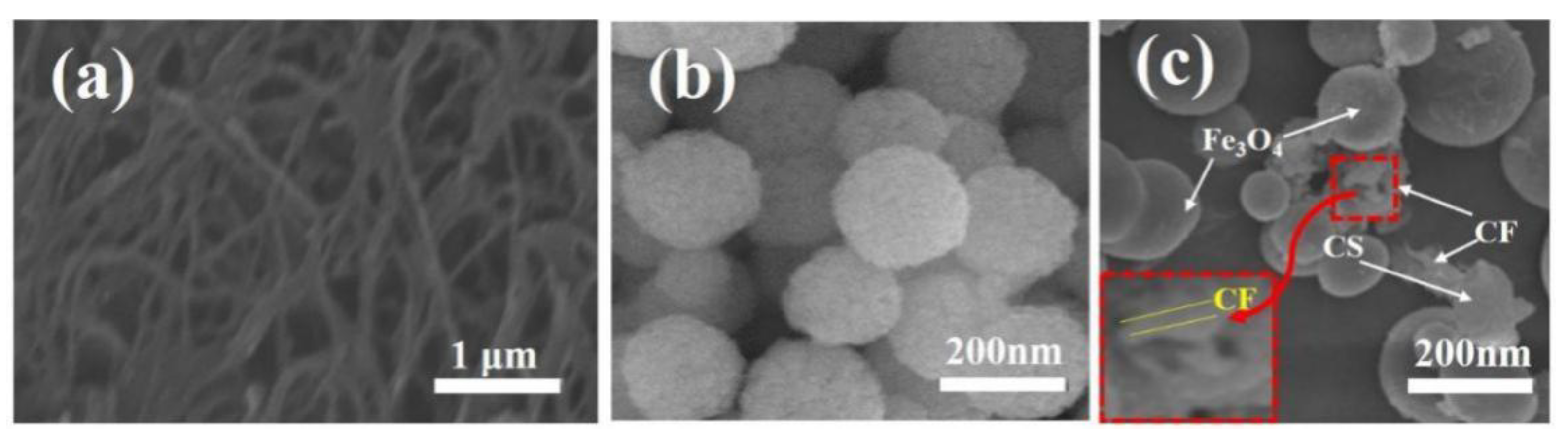 Nanomaterials 11 02950 g003 550