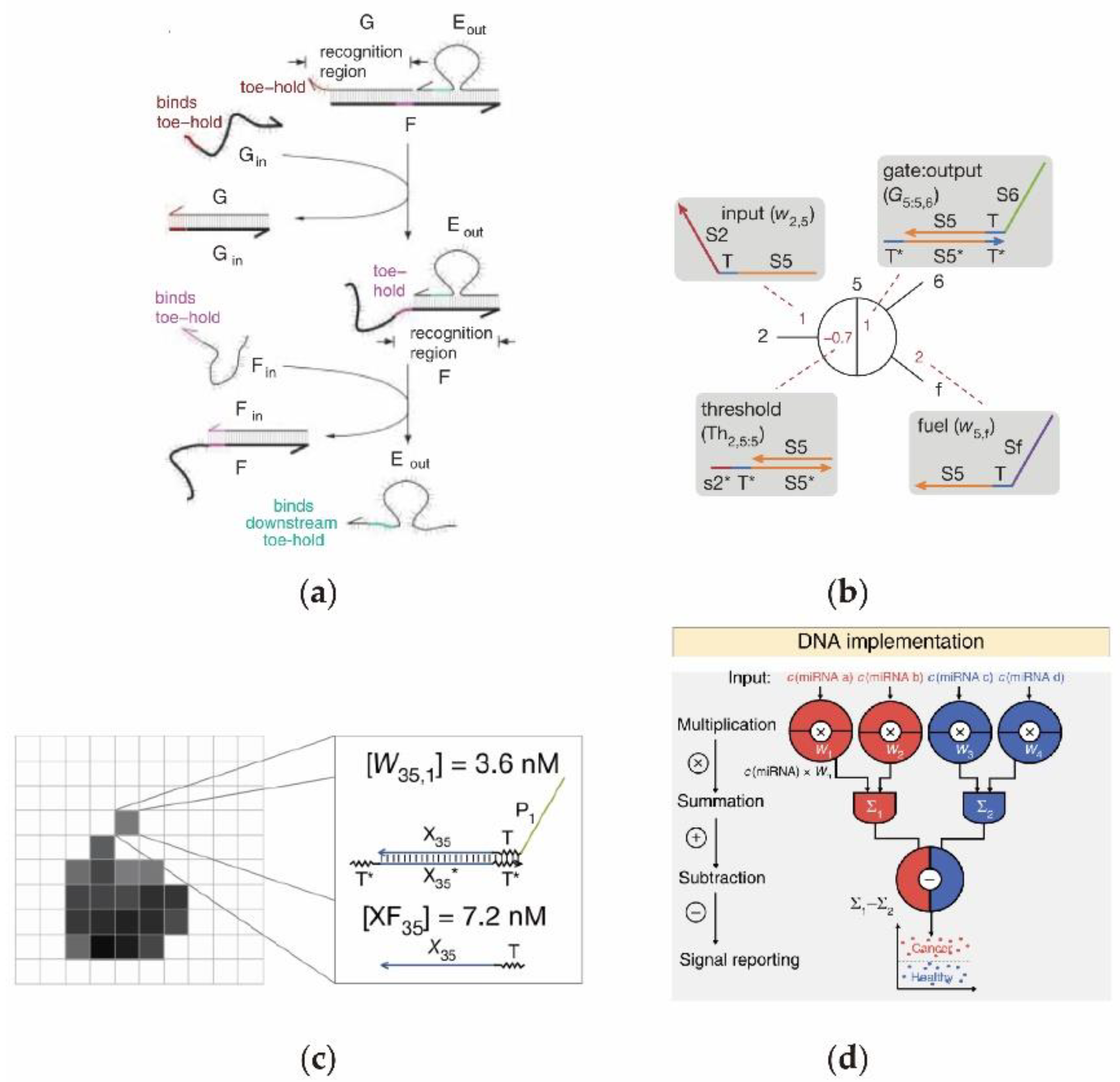 Nanomaterials 11 02955 g001