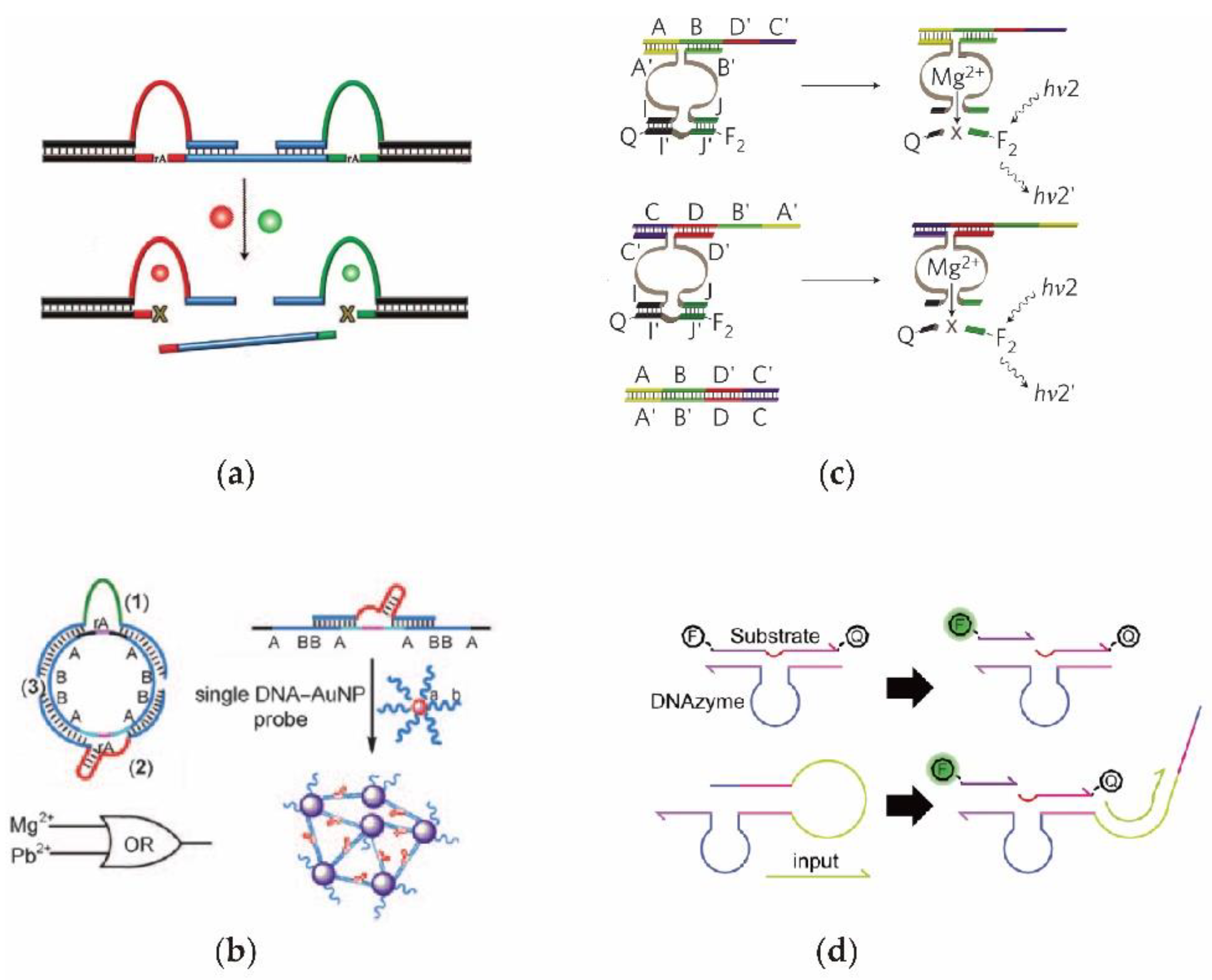 Nanomaterials 11 02955 g003