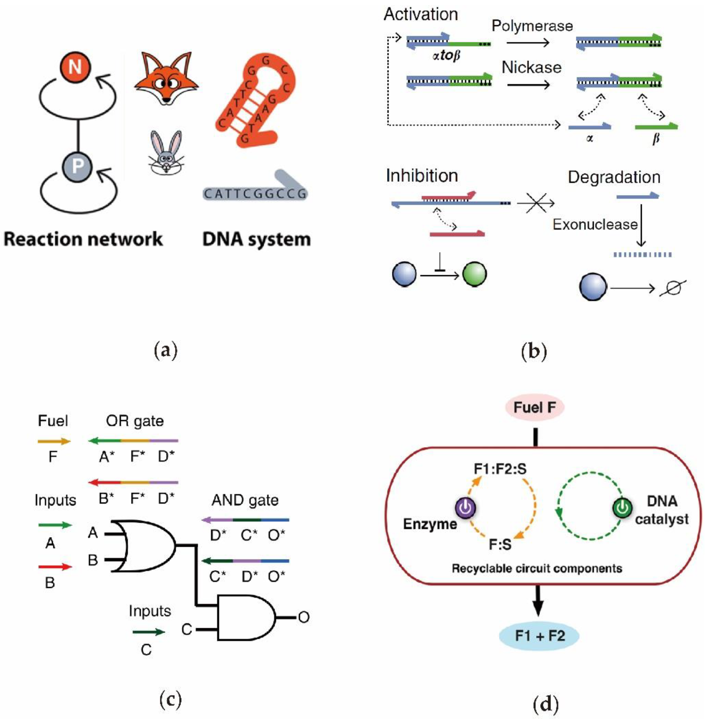 Nanomaterials 11 02955 g004