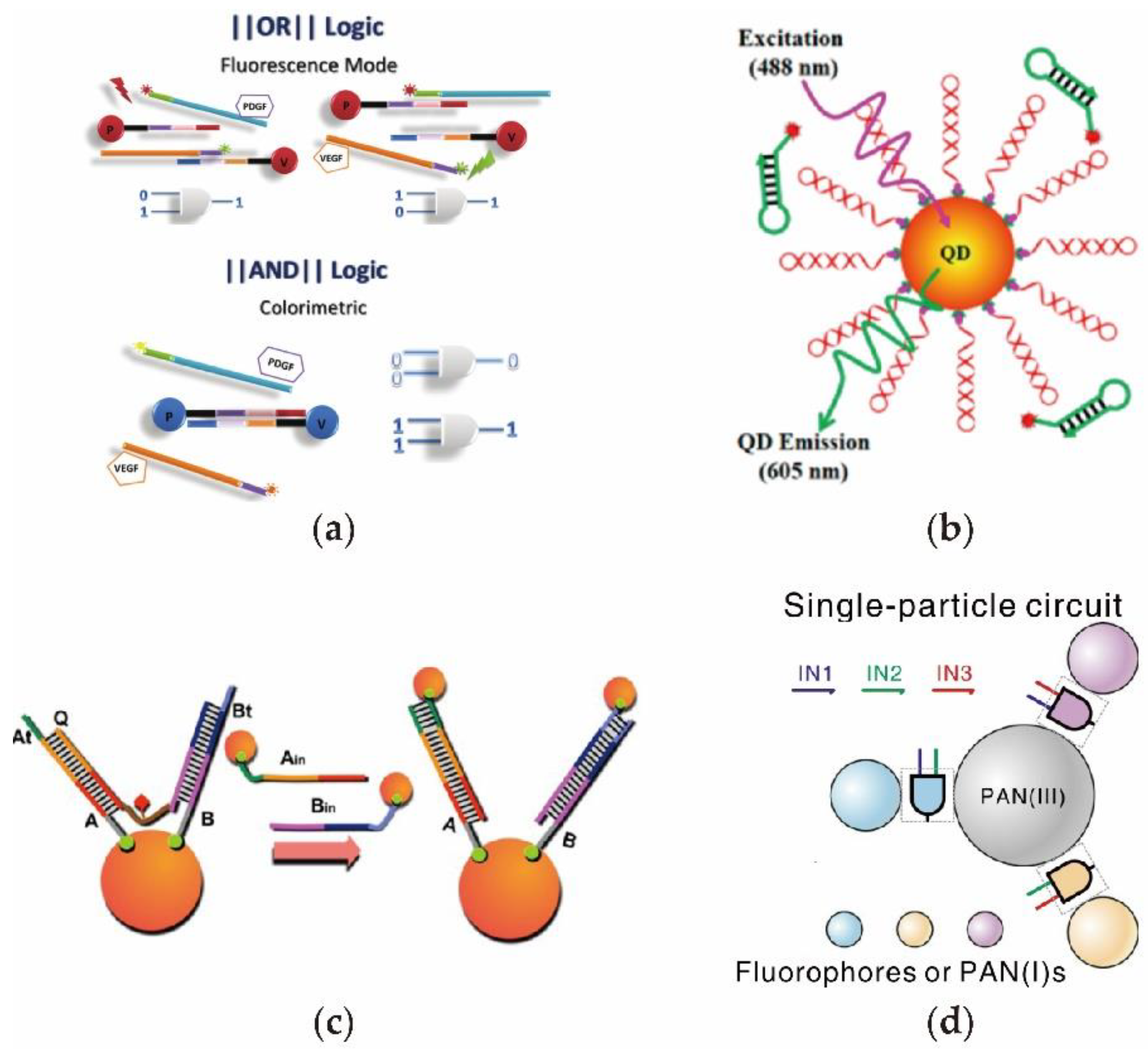 Nanomaterials 11 02955 g006