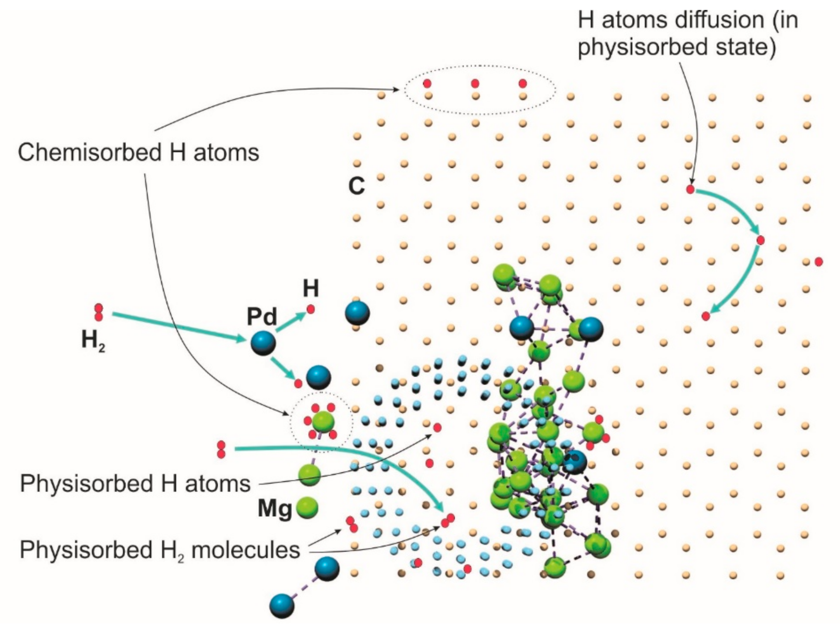 Nanomaterials 11 02957 g007