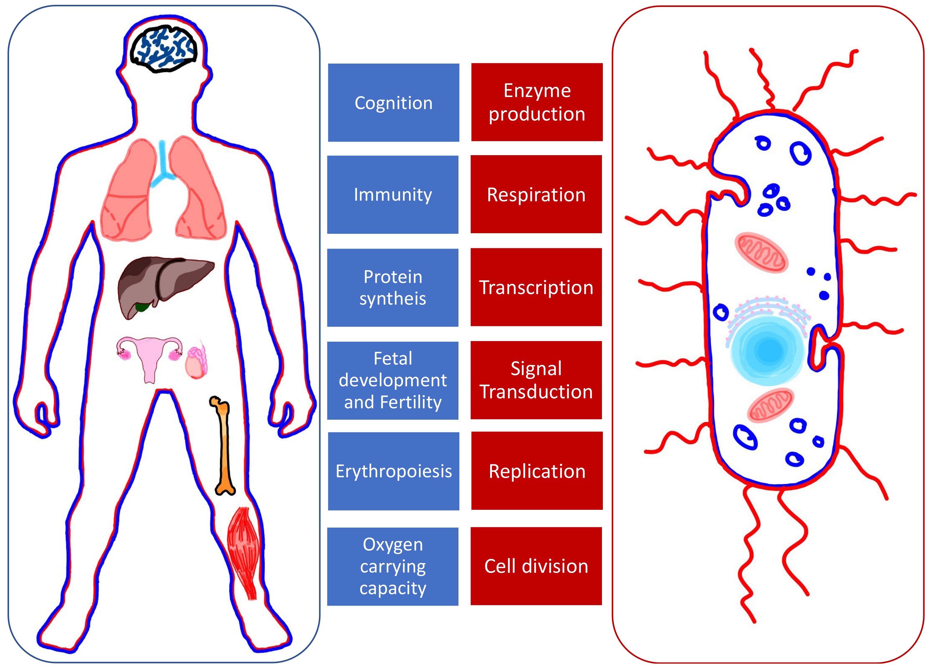 Nanomaterials 11 02958 g001