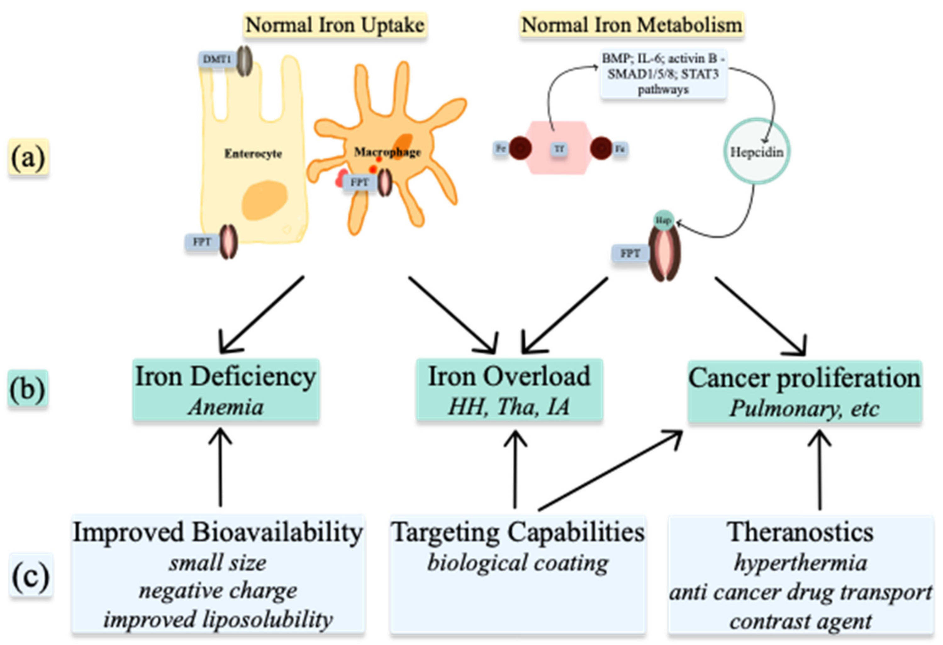 Nanomaterials 11 02958 g005
