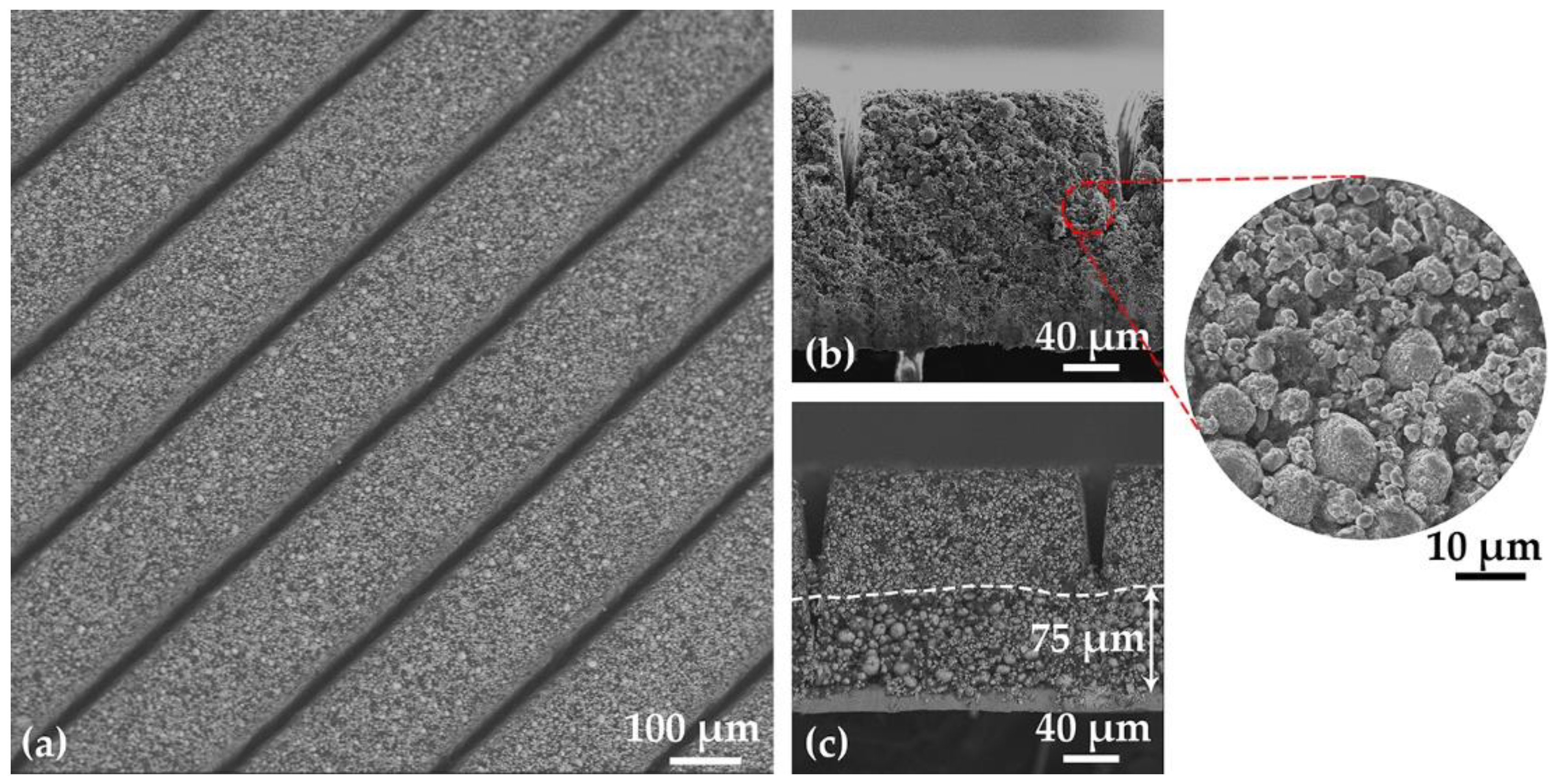 Nanomaterials 11 02962 g003