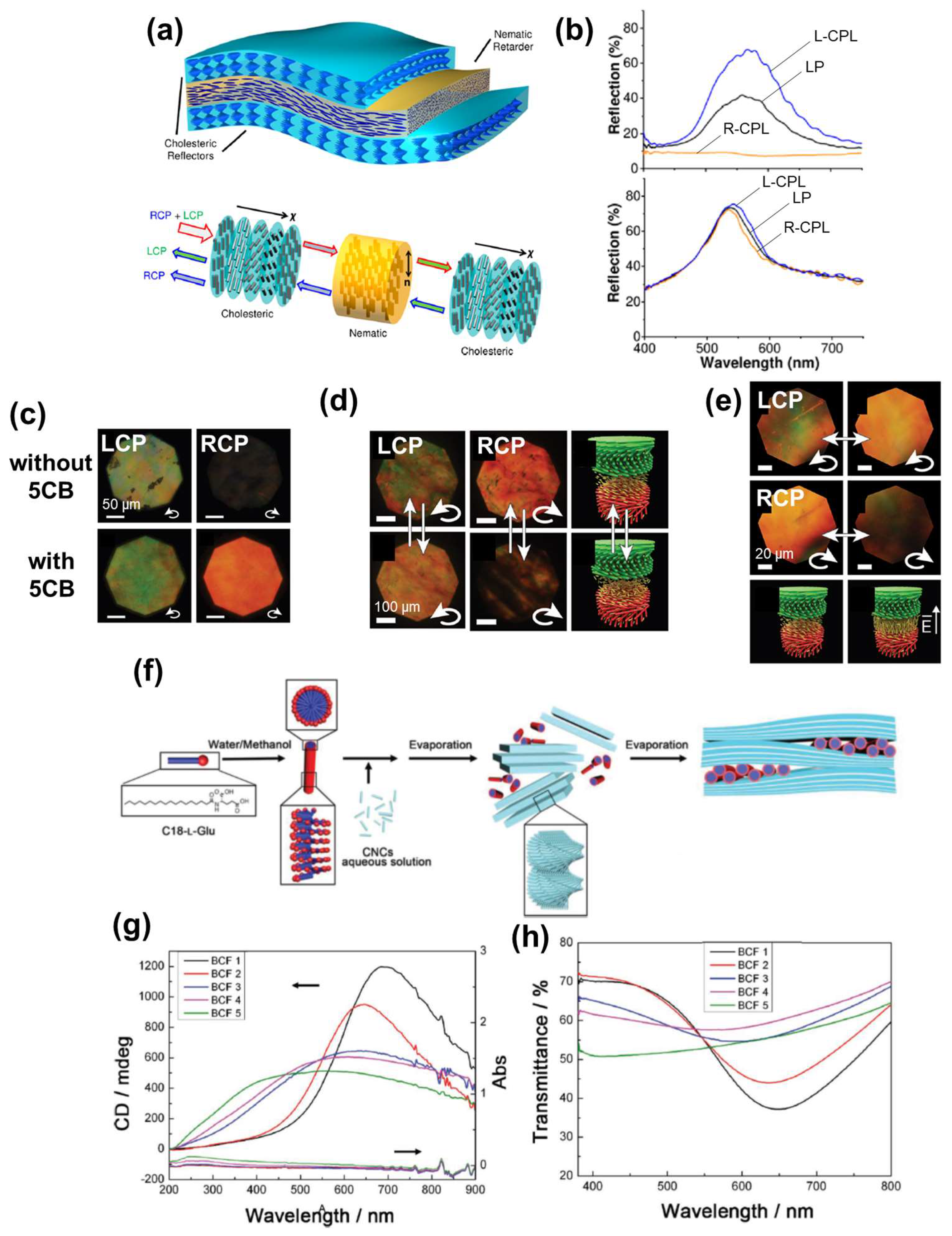 Nanomaterials 11 02969 g004