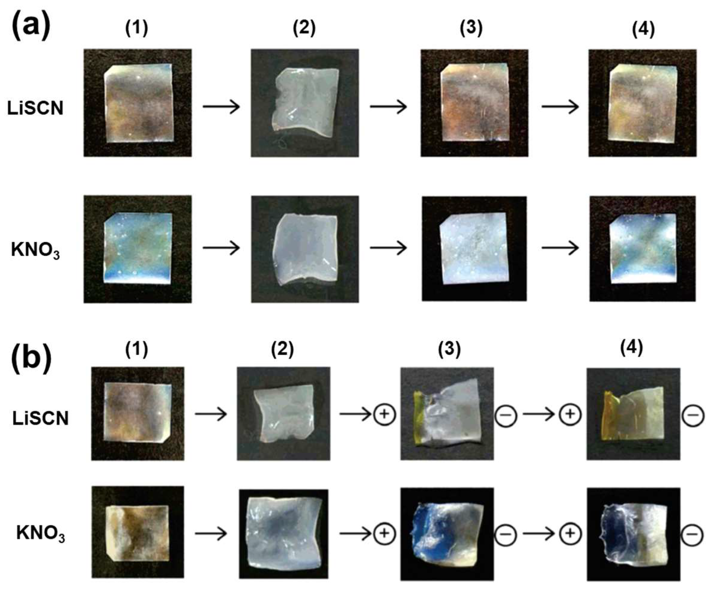 Nanomaterials 11 02969 g006