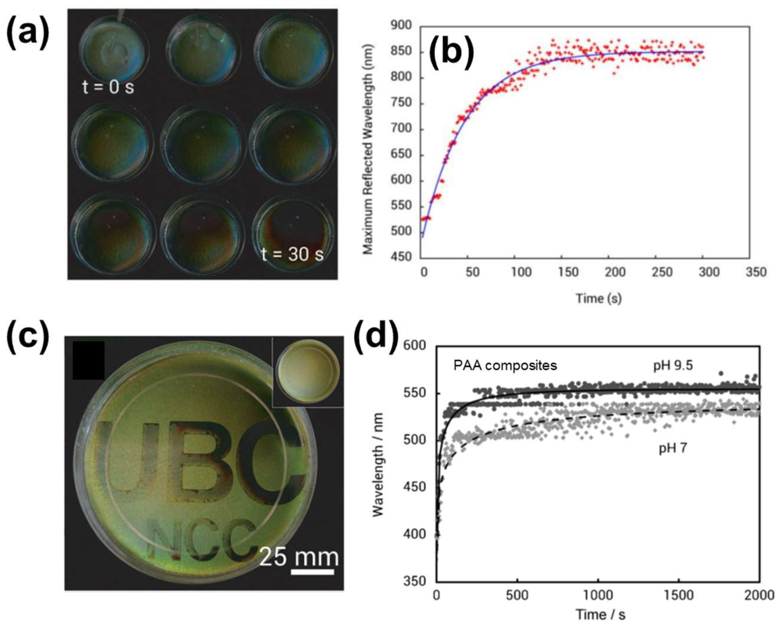 Nanomaterials 11 02969 g008