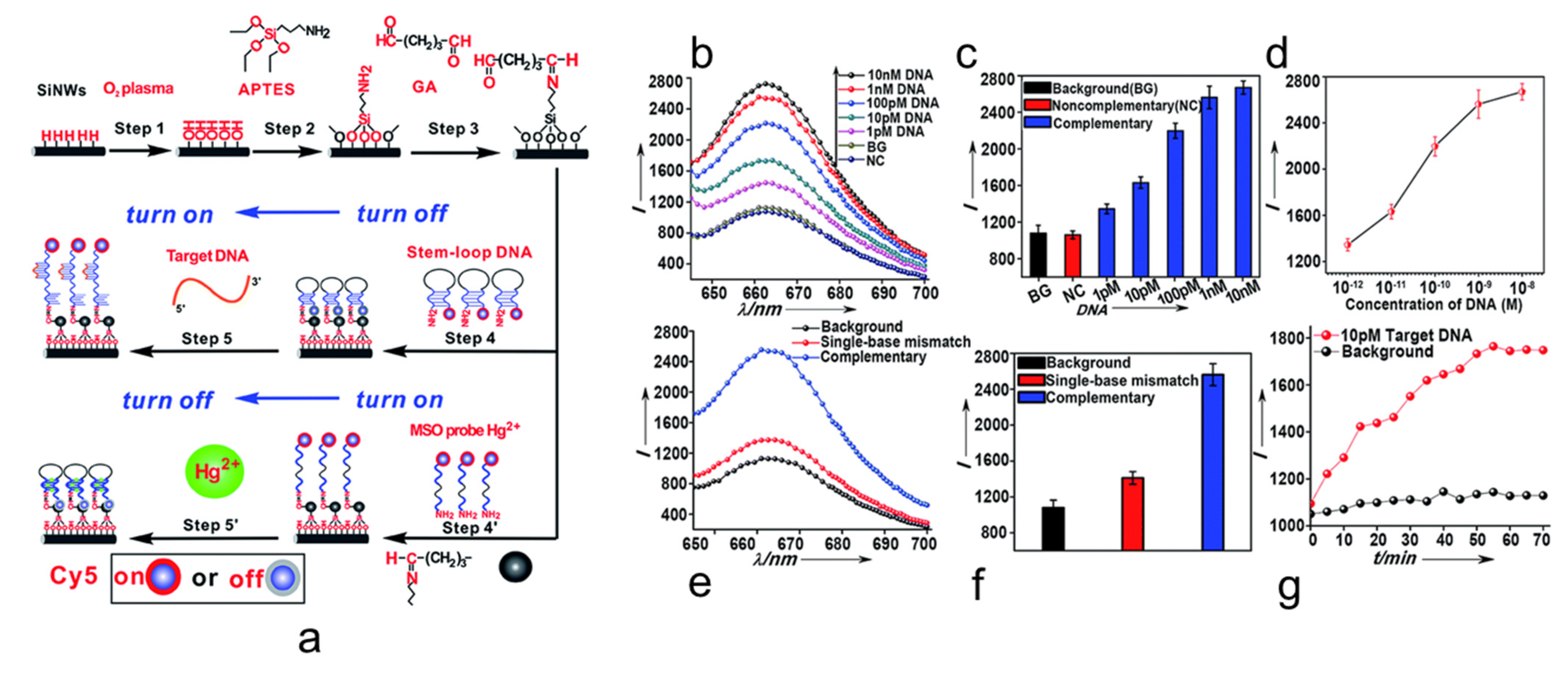 Nanomaterials 11 02970 g003