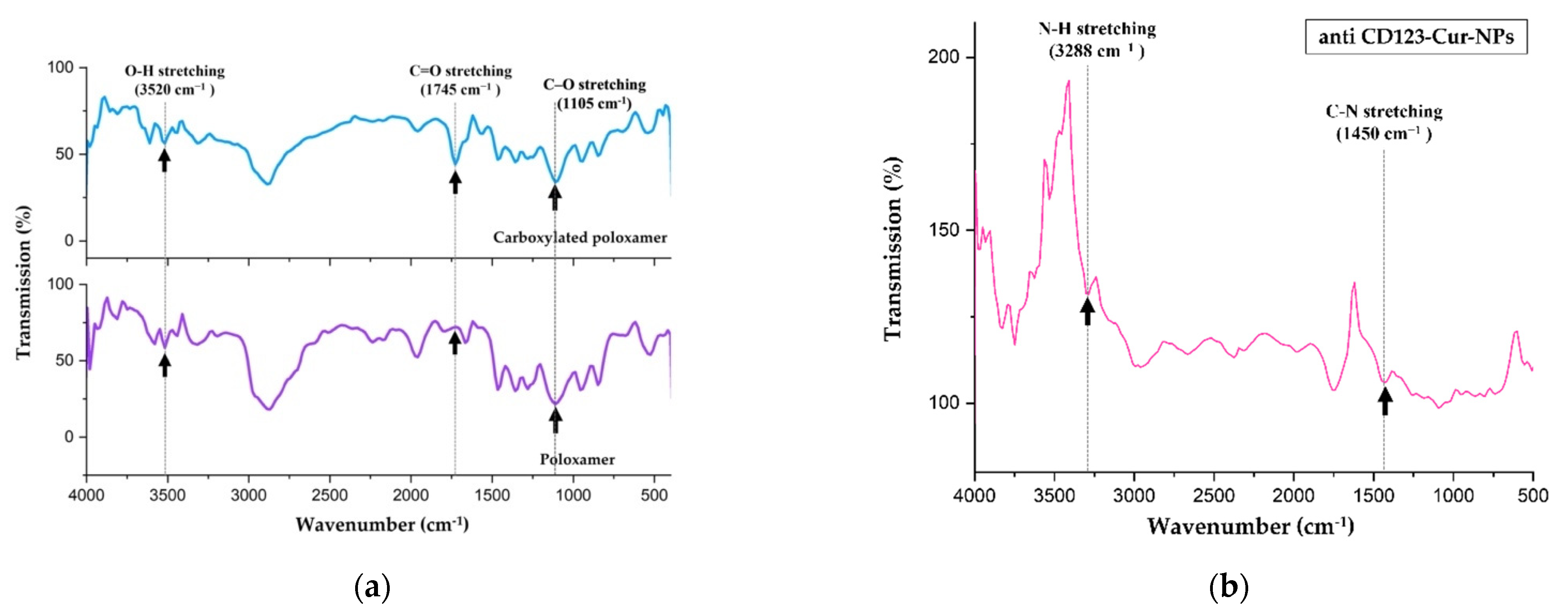 Nanomaterials 11 02974 g001