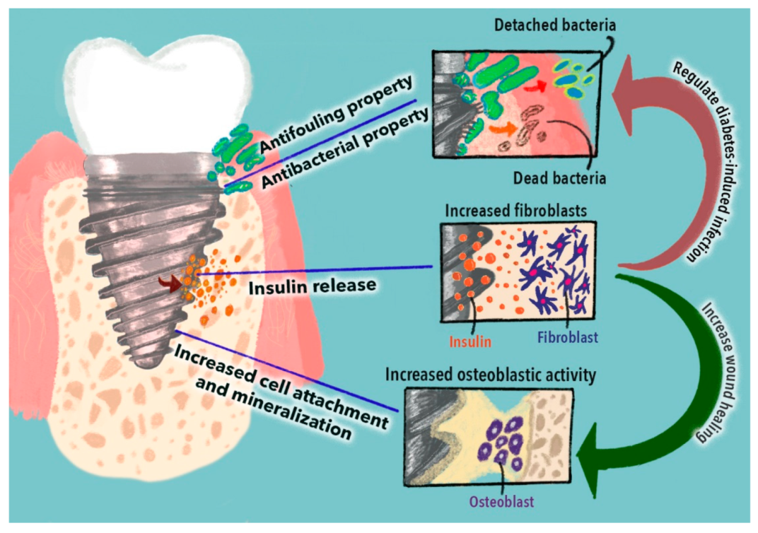Nanomaterials 11 02977 g004 Nanomaterials 11 02977 g004