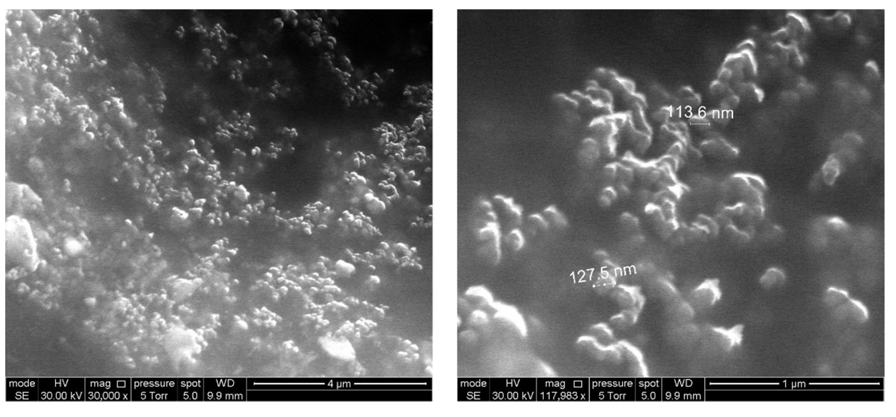 Nanomaterials 11 02980 g004