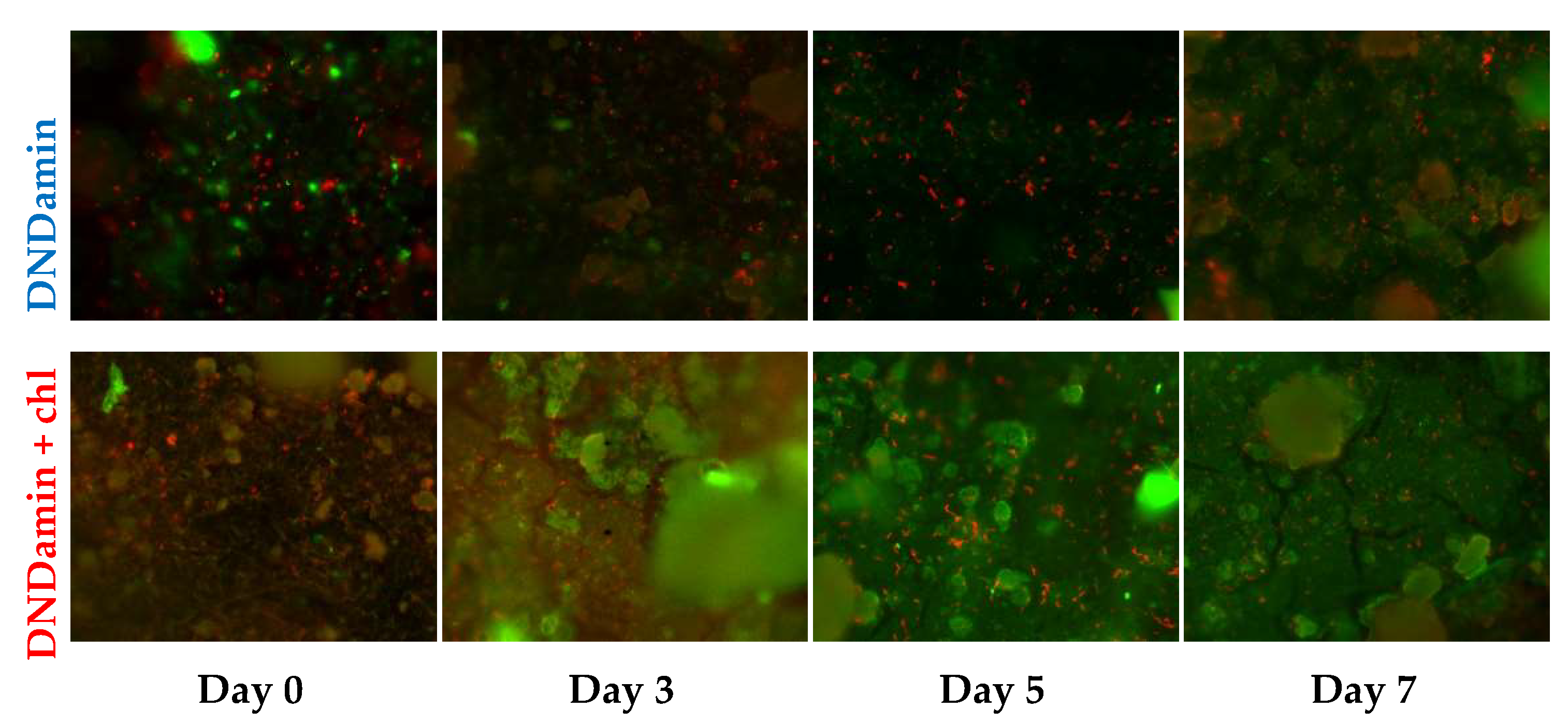 Nanomaterials 11 02980 g005