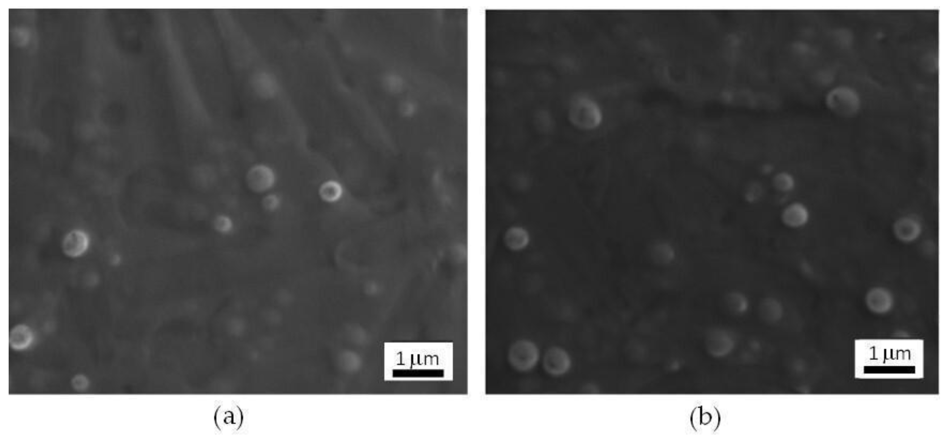 Nanomaterials 11 02983 g001