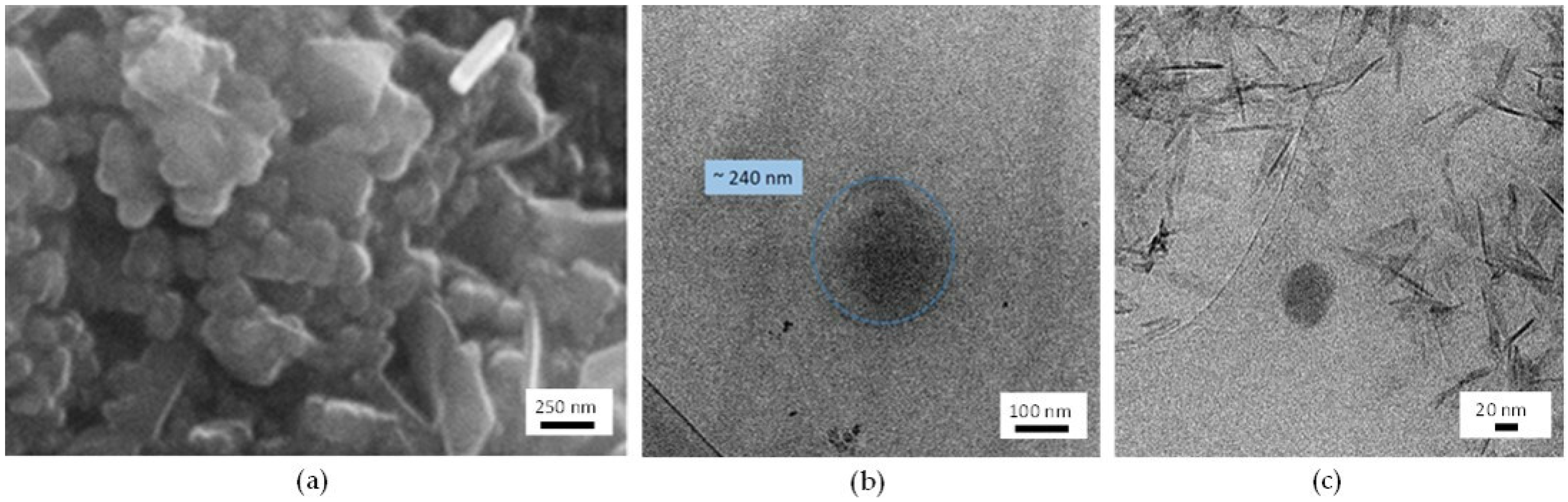 Nanomaterials 11 02983 g002