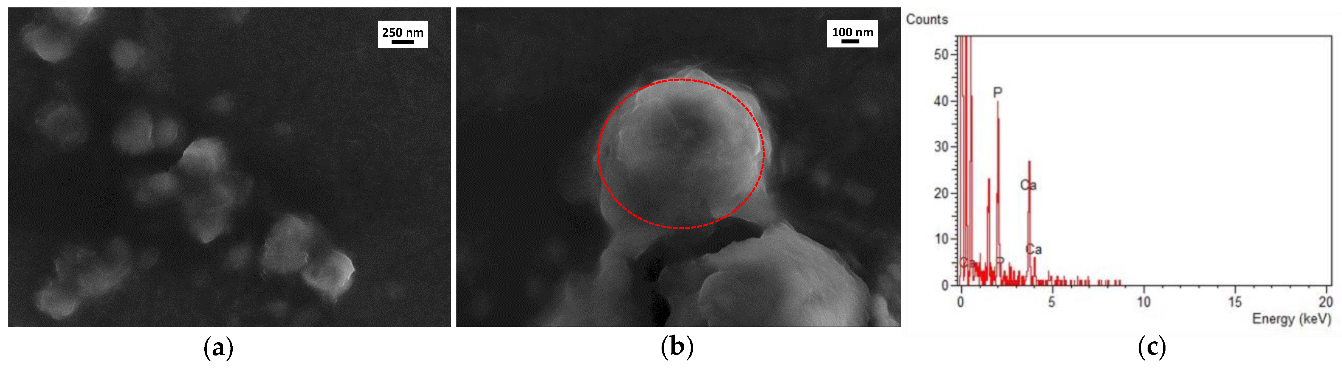 Nanomaterials 11 02983 g004