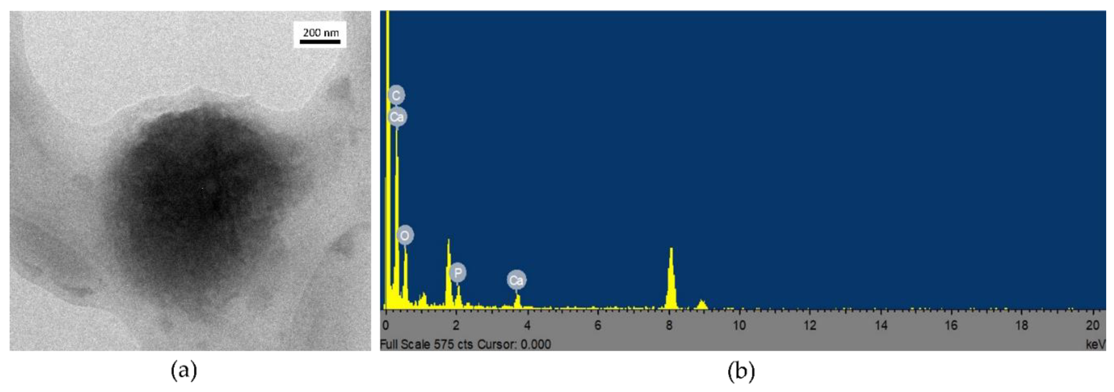 Nanomaterials 11 02983 g005