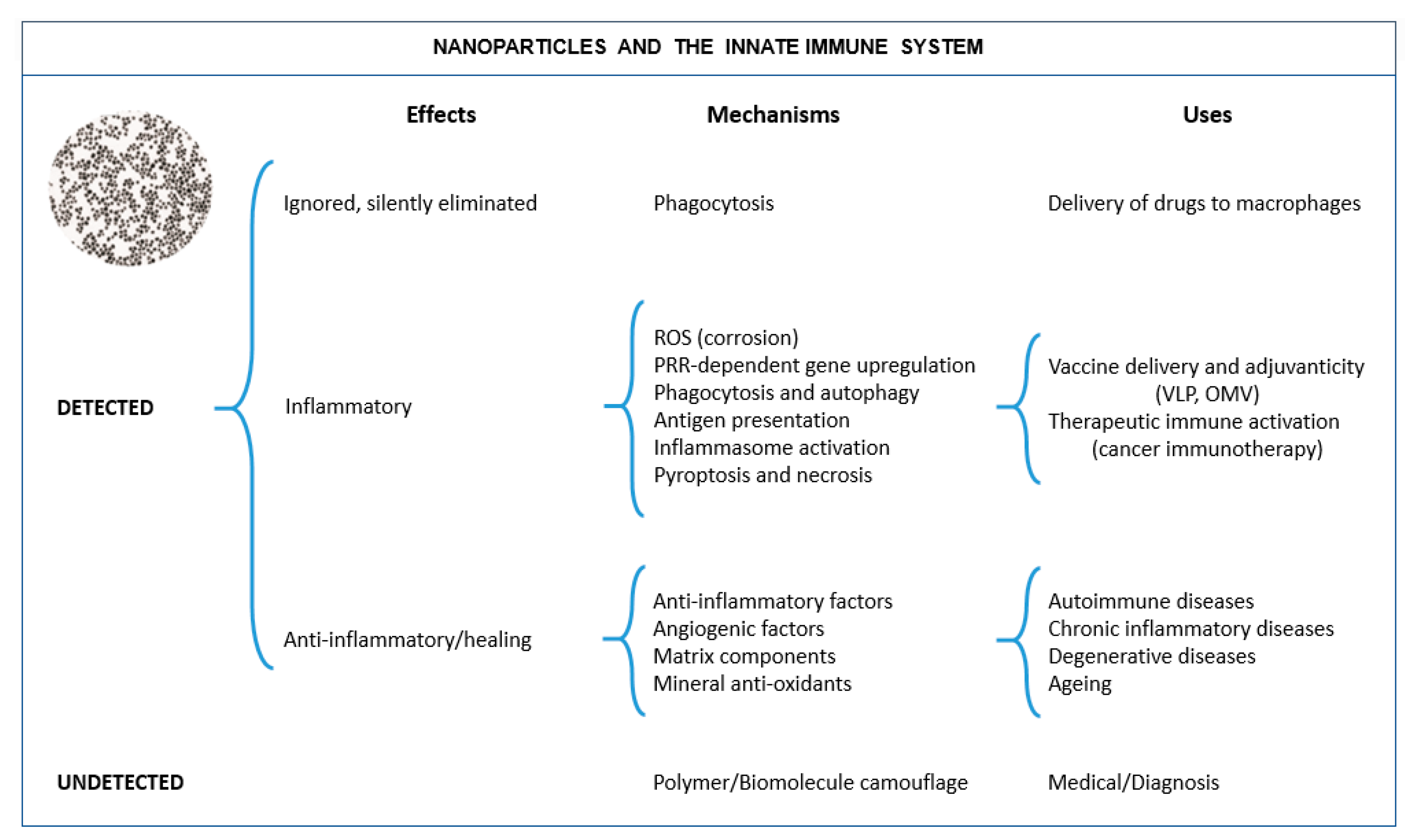 Nanomaterials 11 02991 g002