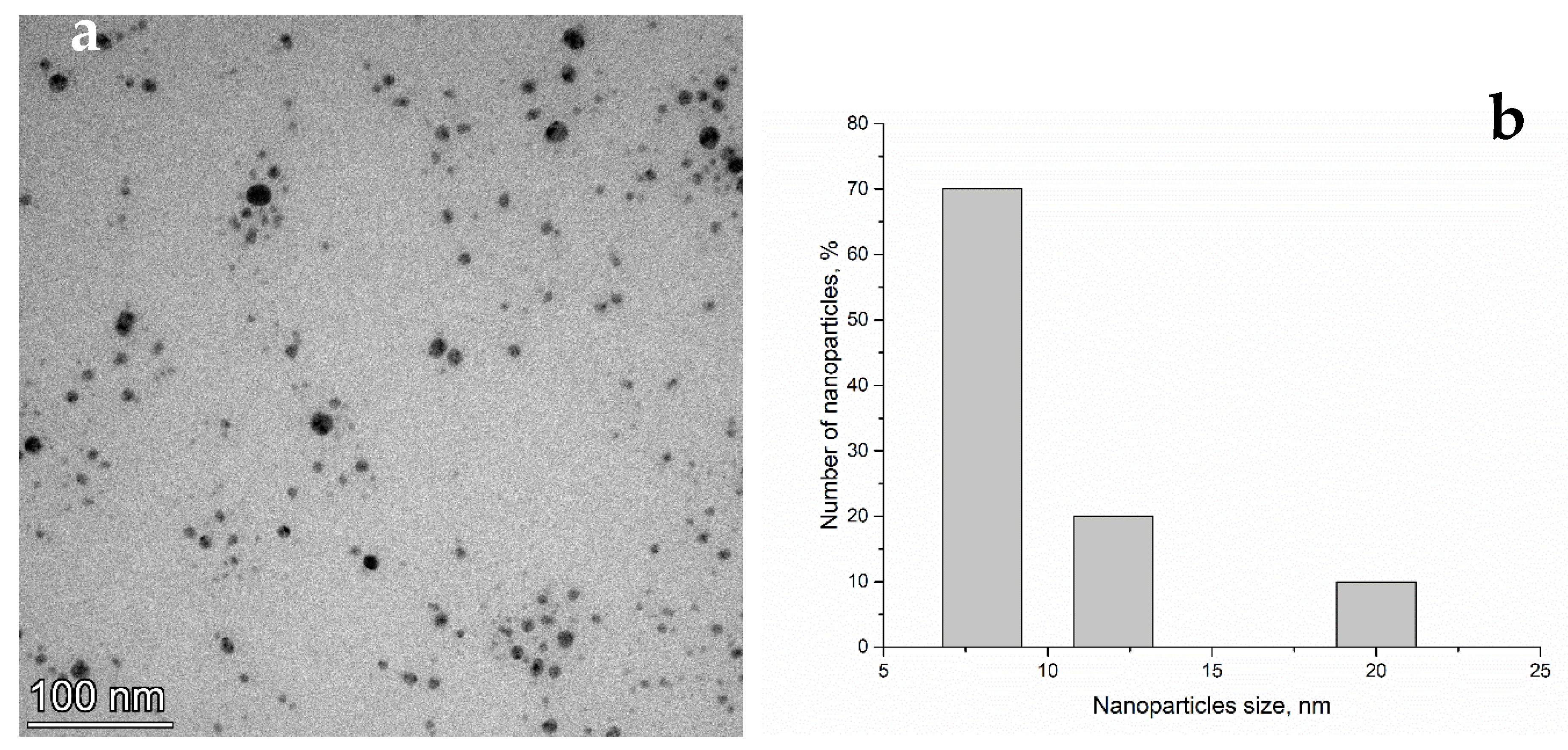 Nanomaterials 11 02992 g001