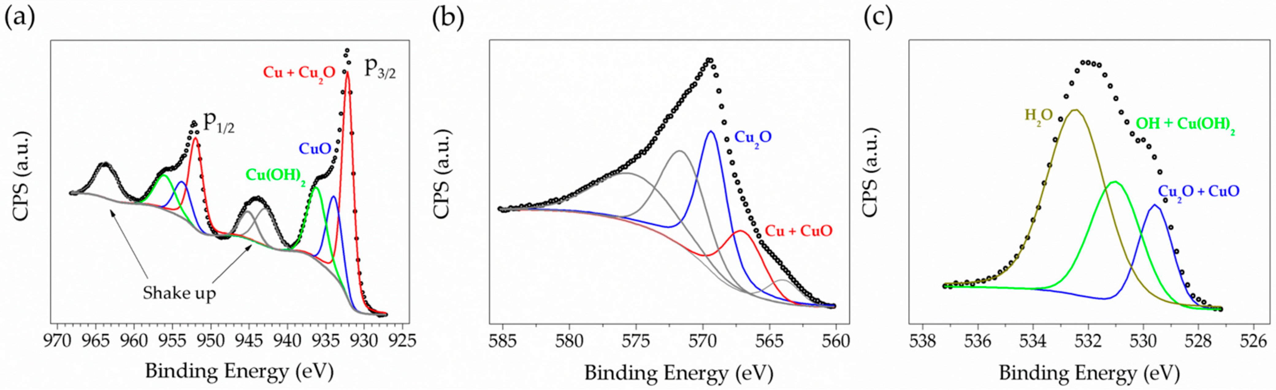 Nanomaterials 11 02994 g002