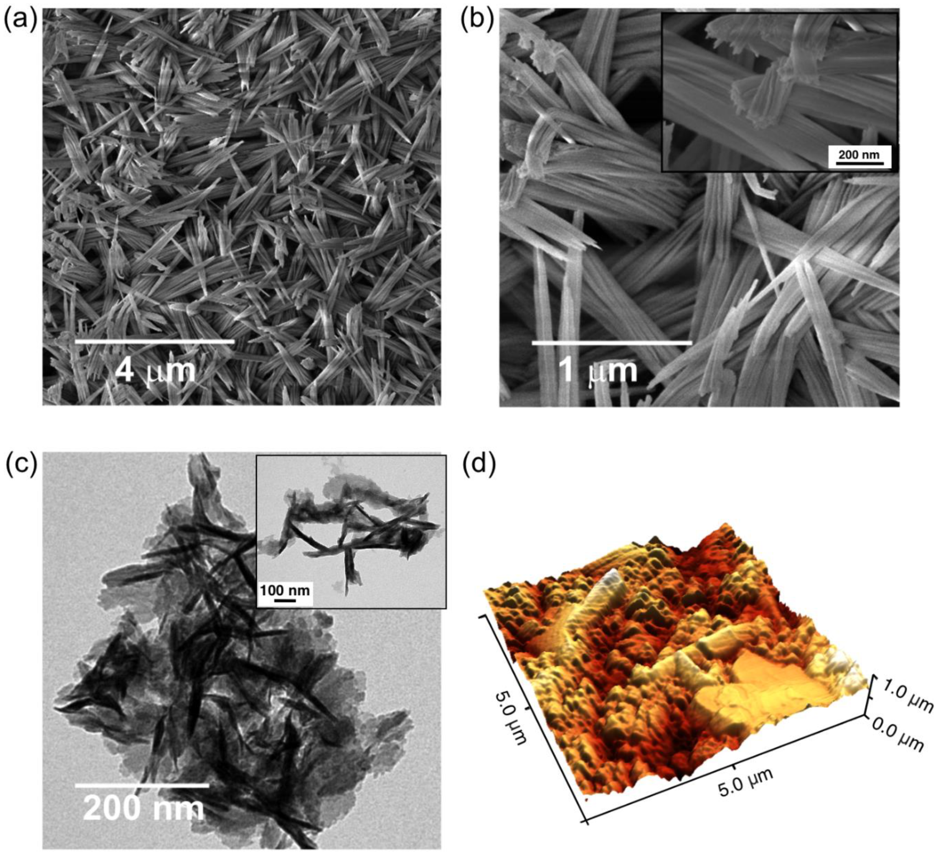 Nanomaterials 11 02994 g003