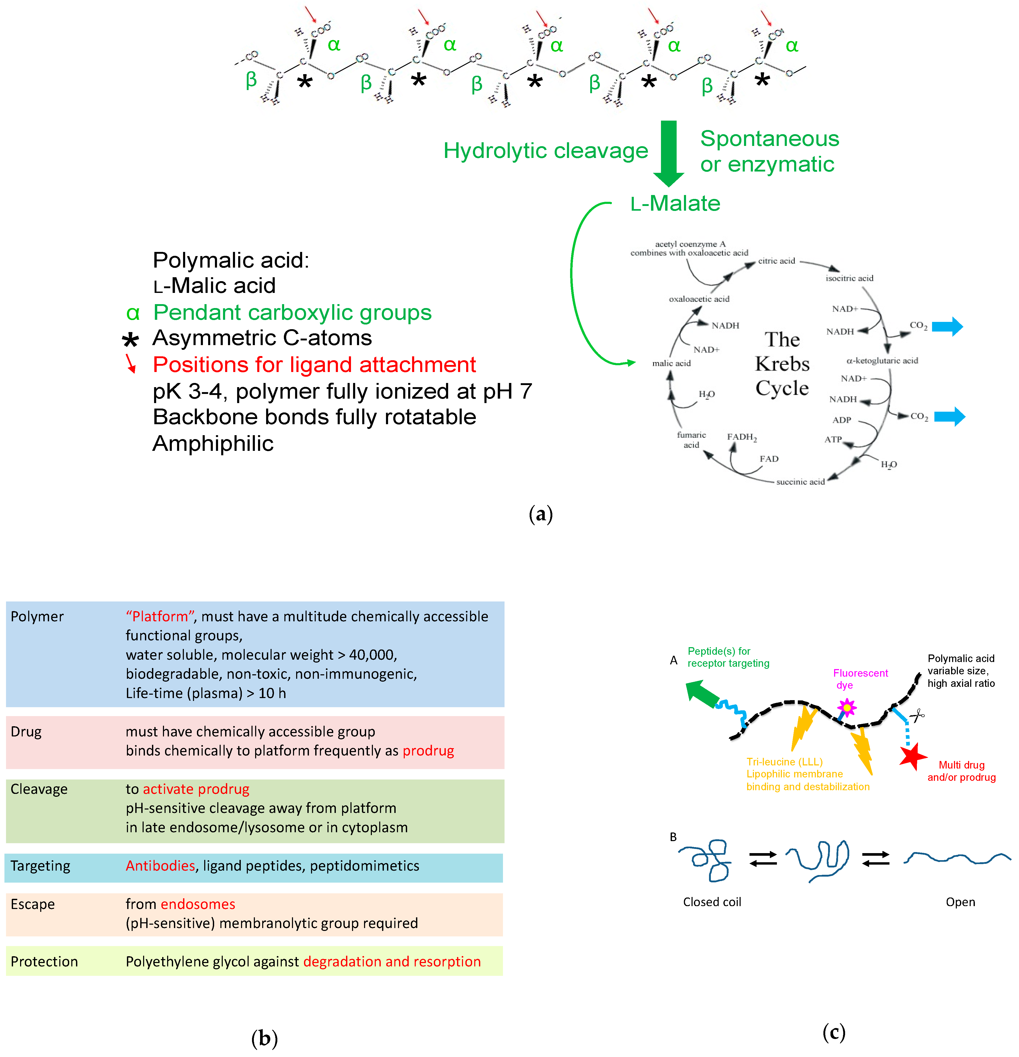 Nanomaterials 11 02996 g002