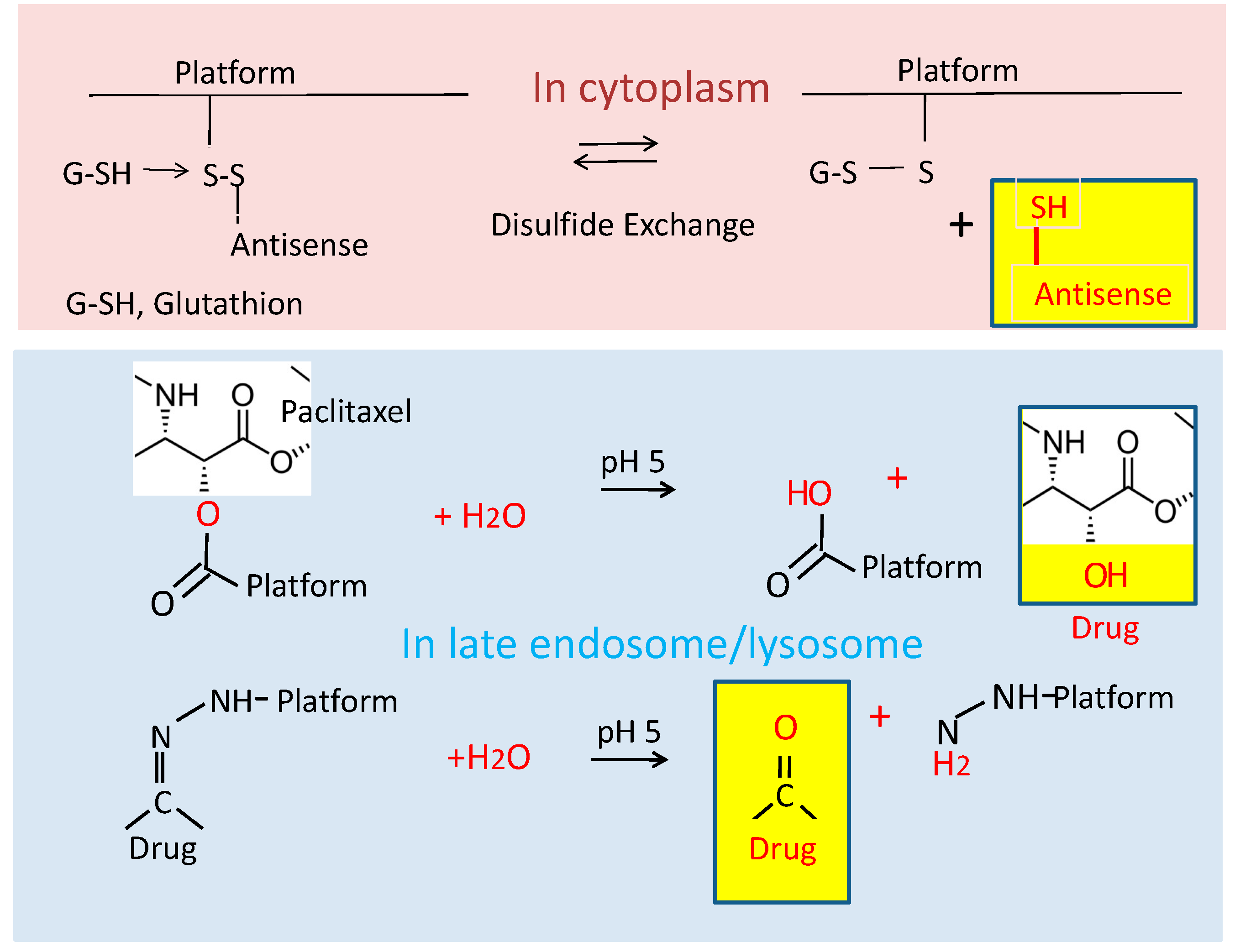 Nanomaterials 11 02996 g003