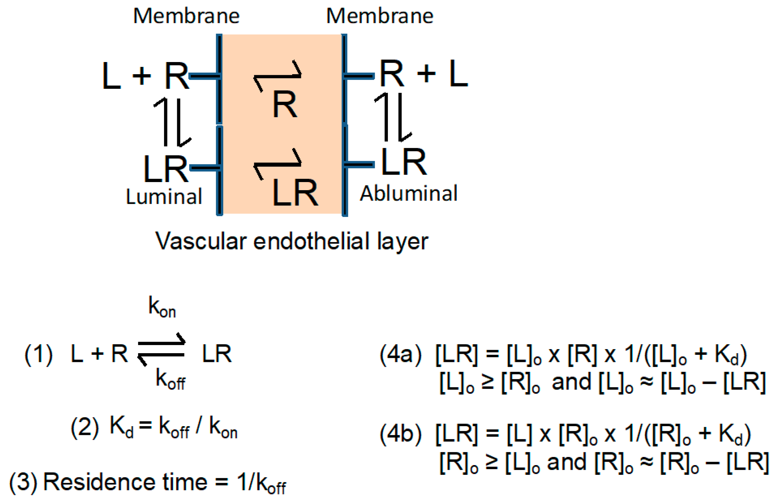Nanomaterials 11 02996 g005