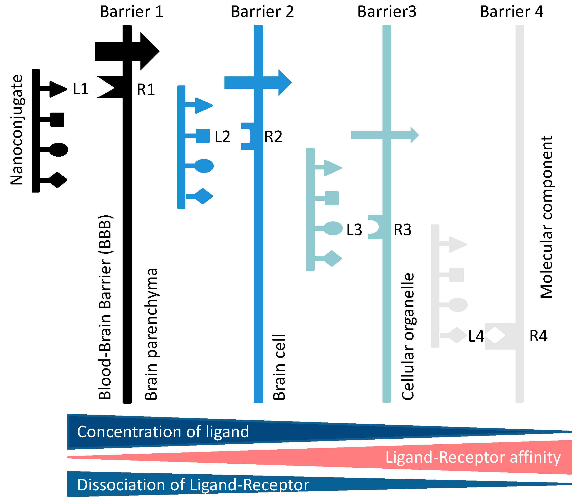 Nanomaterials 11 02996 g006