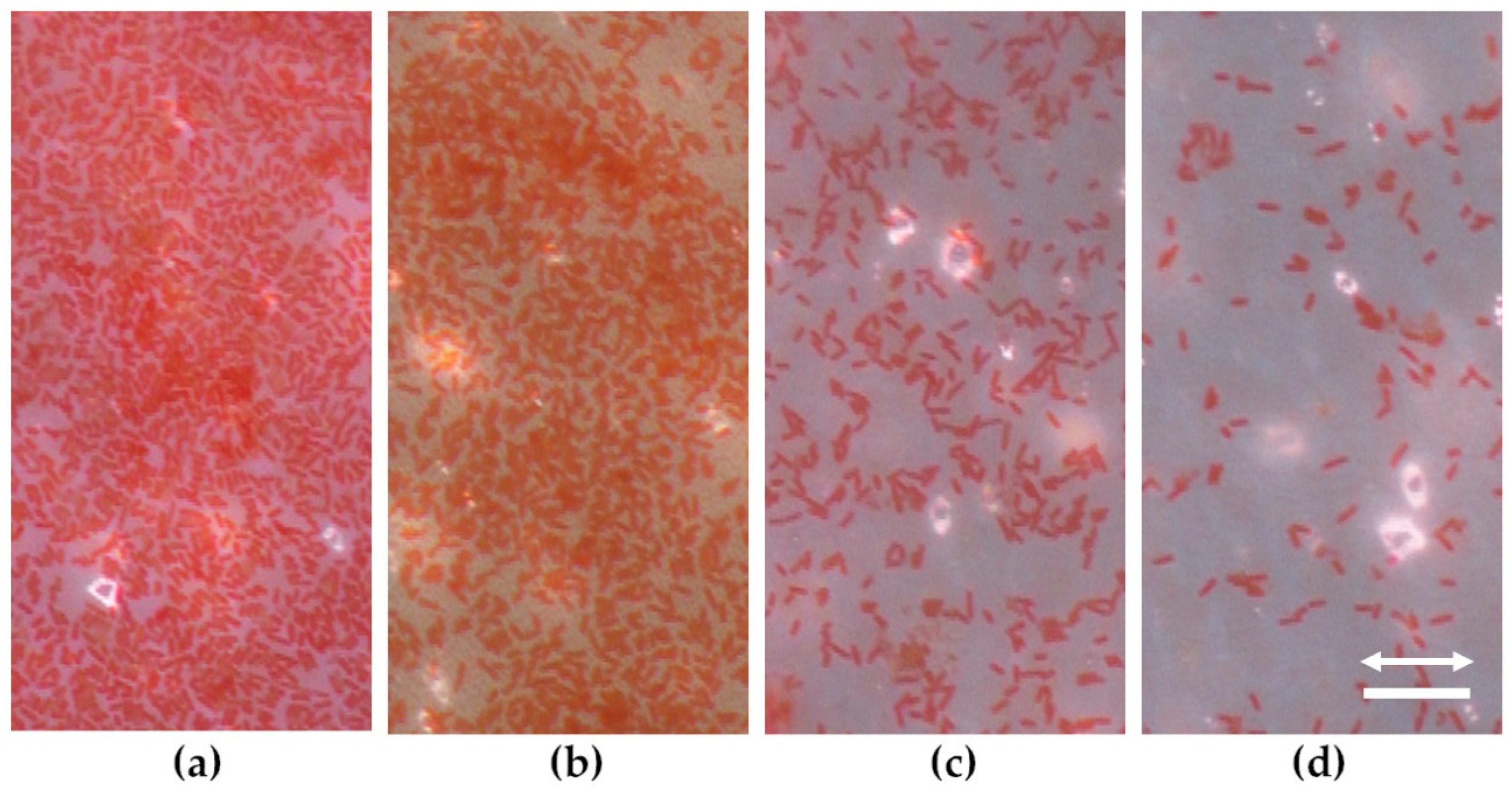 Nanomaterials 11 03000 g005