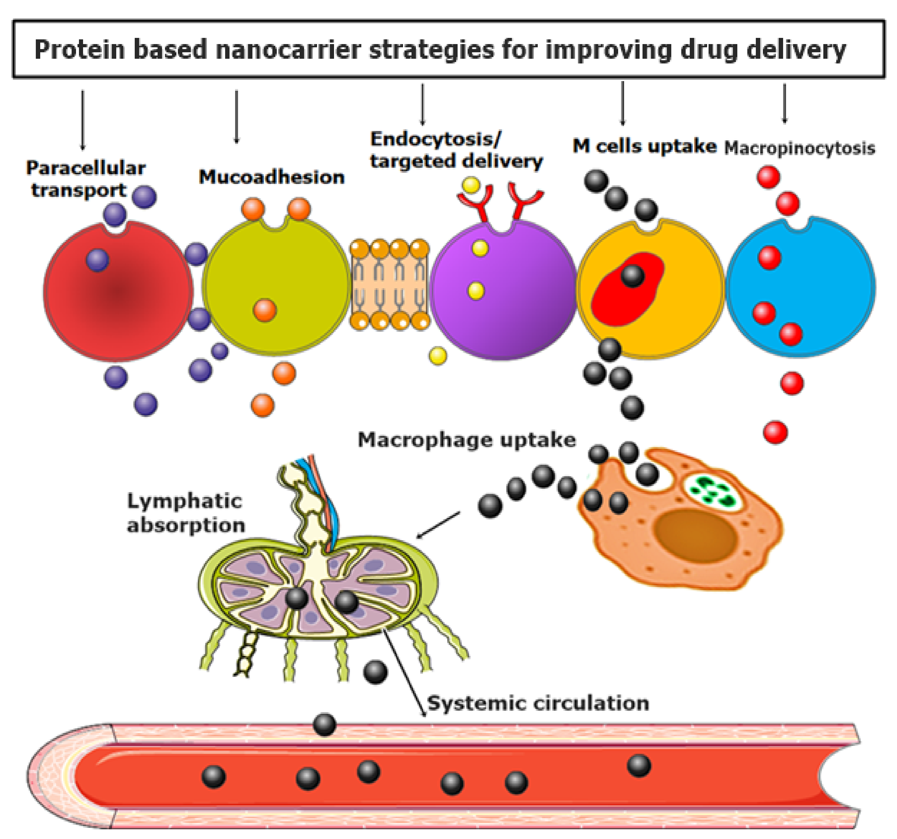 Nanomaterials 11 03002 g006 Nanomaterials 11 03002 g006