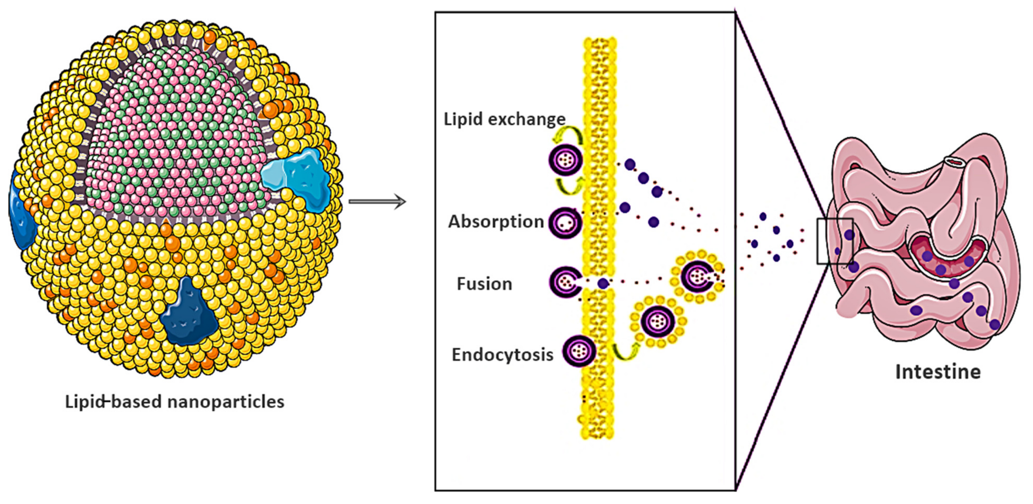 Nanomaterials 11 03002 g007 Nanomaterials 11 03002 g007