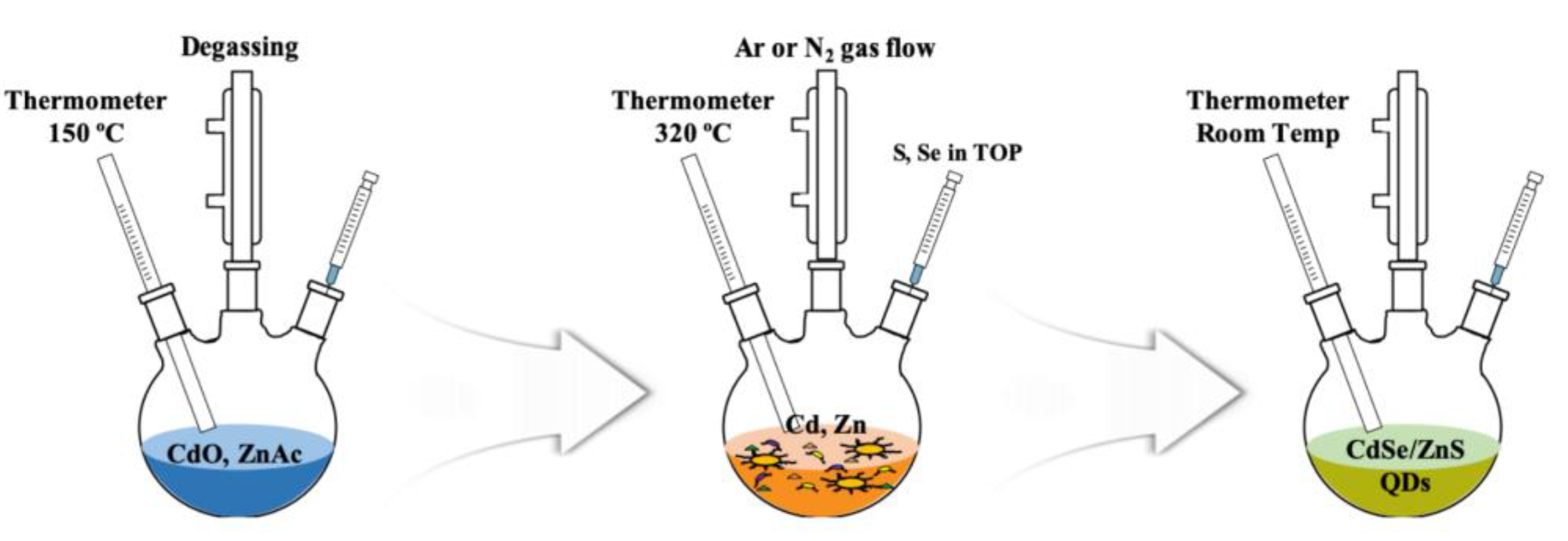 Nanomaterials 11 03004 g001