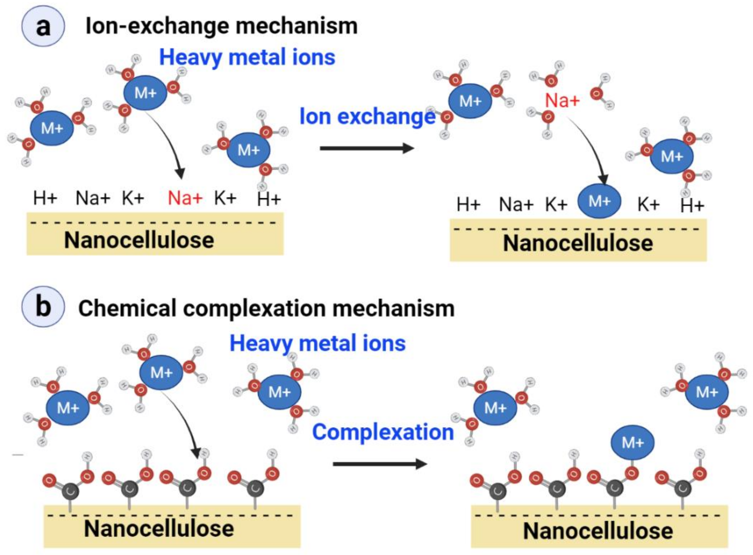 Nanomaterials 11 03008 g002