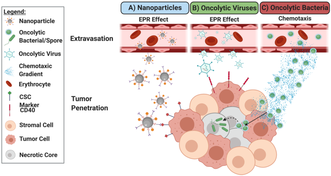 Nanomaterials 11 03018 g003