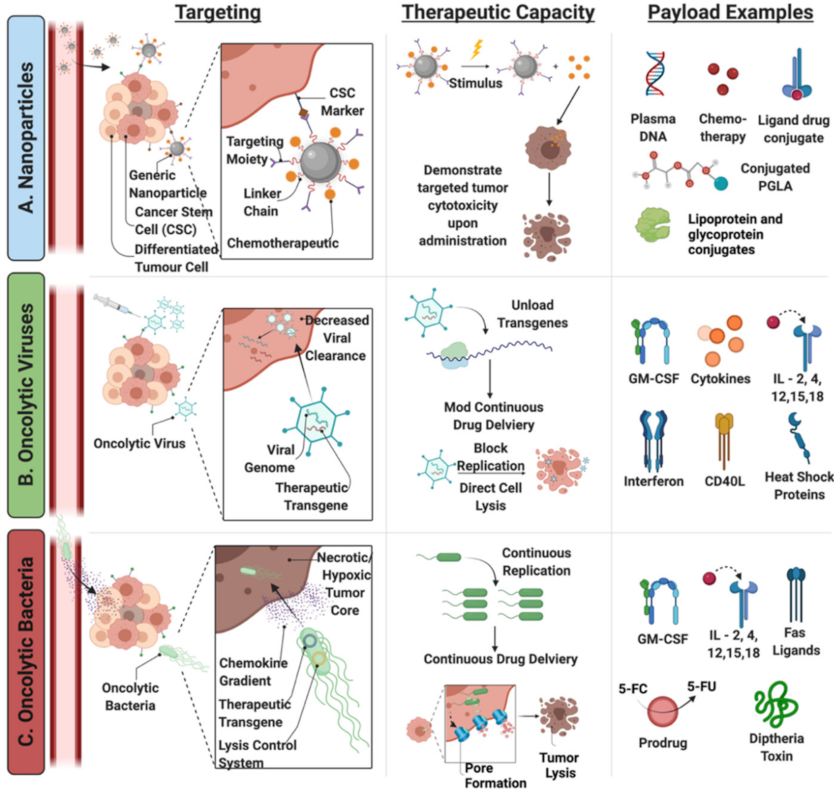 Nanomaterials 11 03018 g004