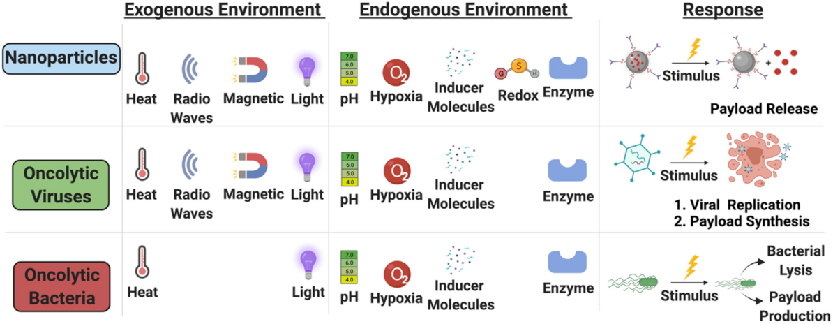 Nanomaterials 11 03018 g005