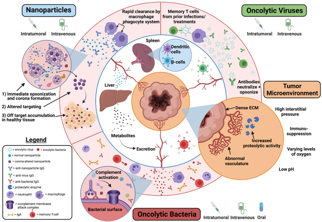 Nanomaterials 11 03018 g006