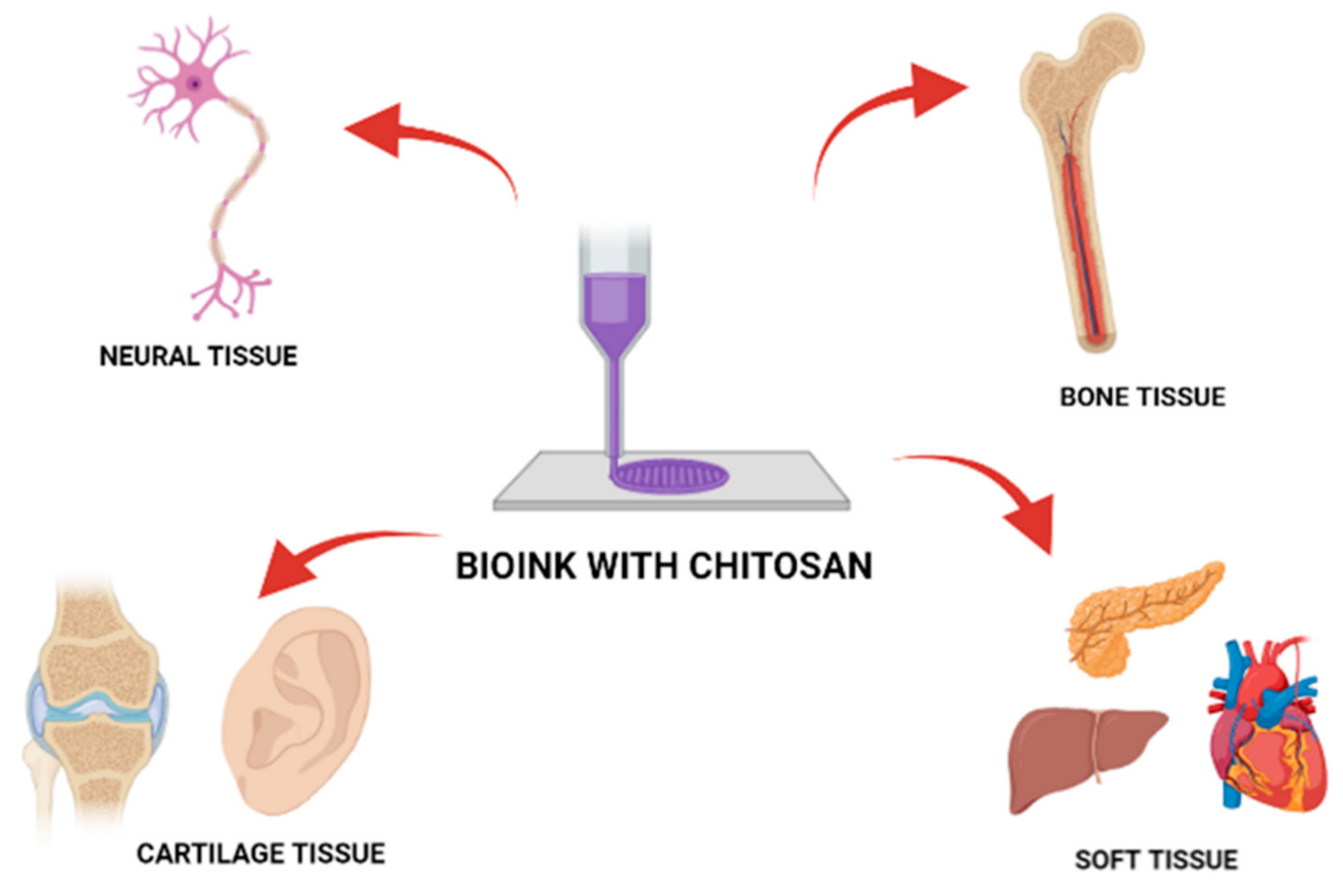 Nanomaterials 11 03019 g005