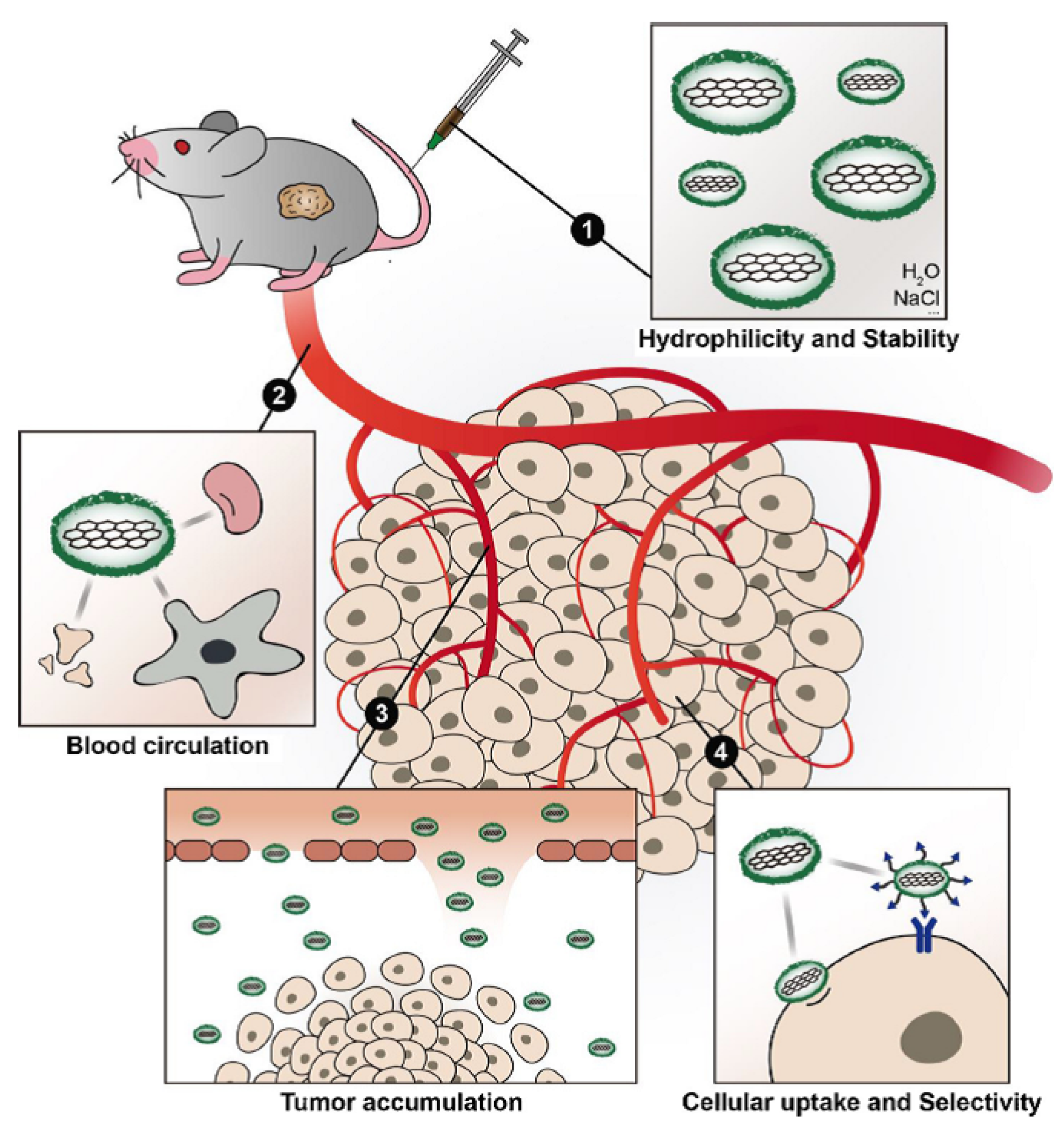 Nanomaterials 11 03020 g002