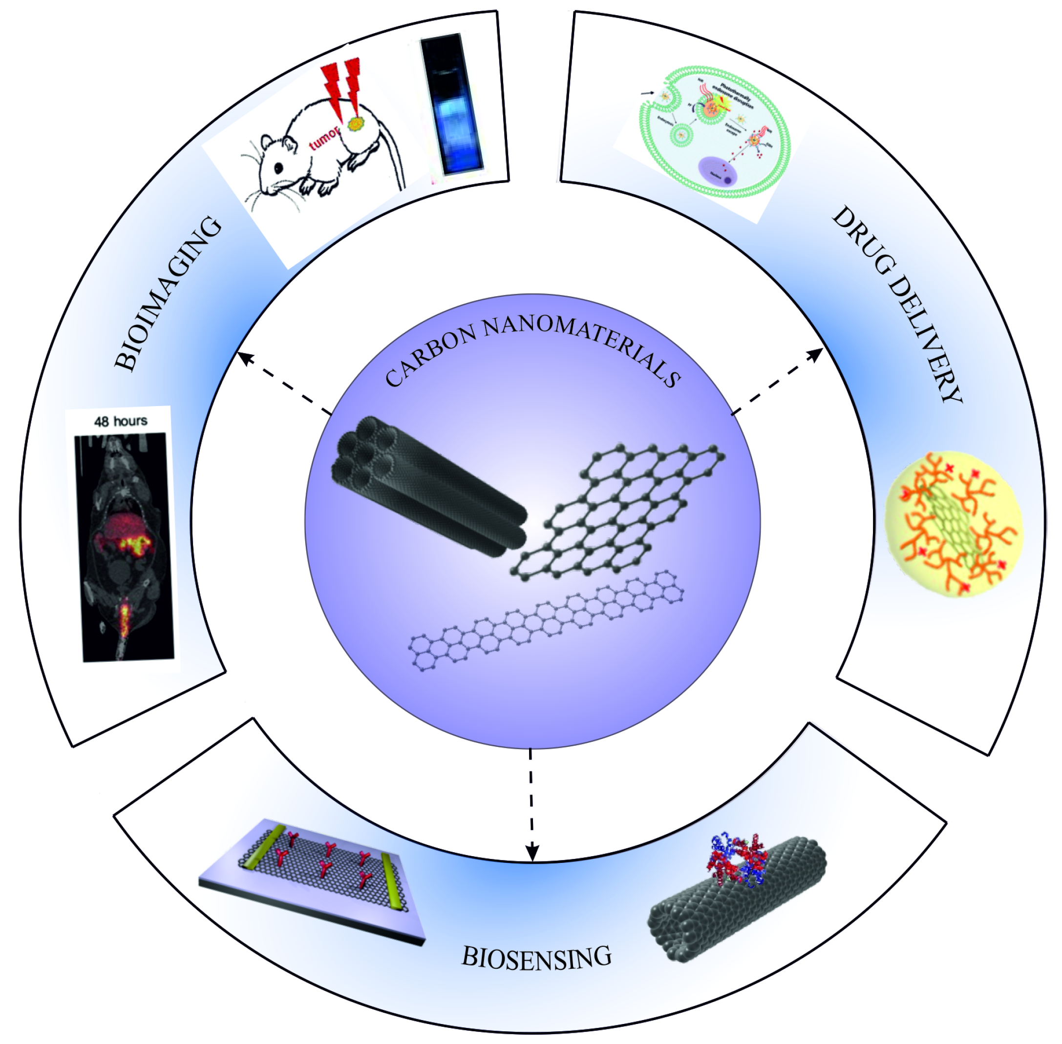 Nanomaterials 11 03020 g003