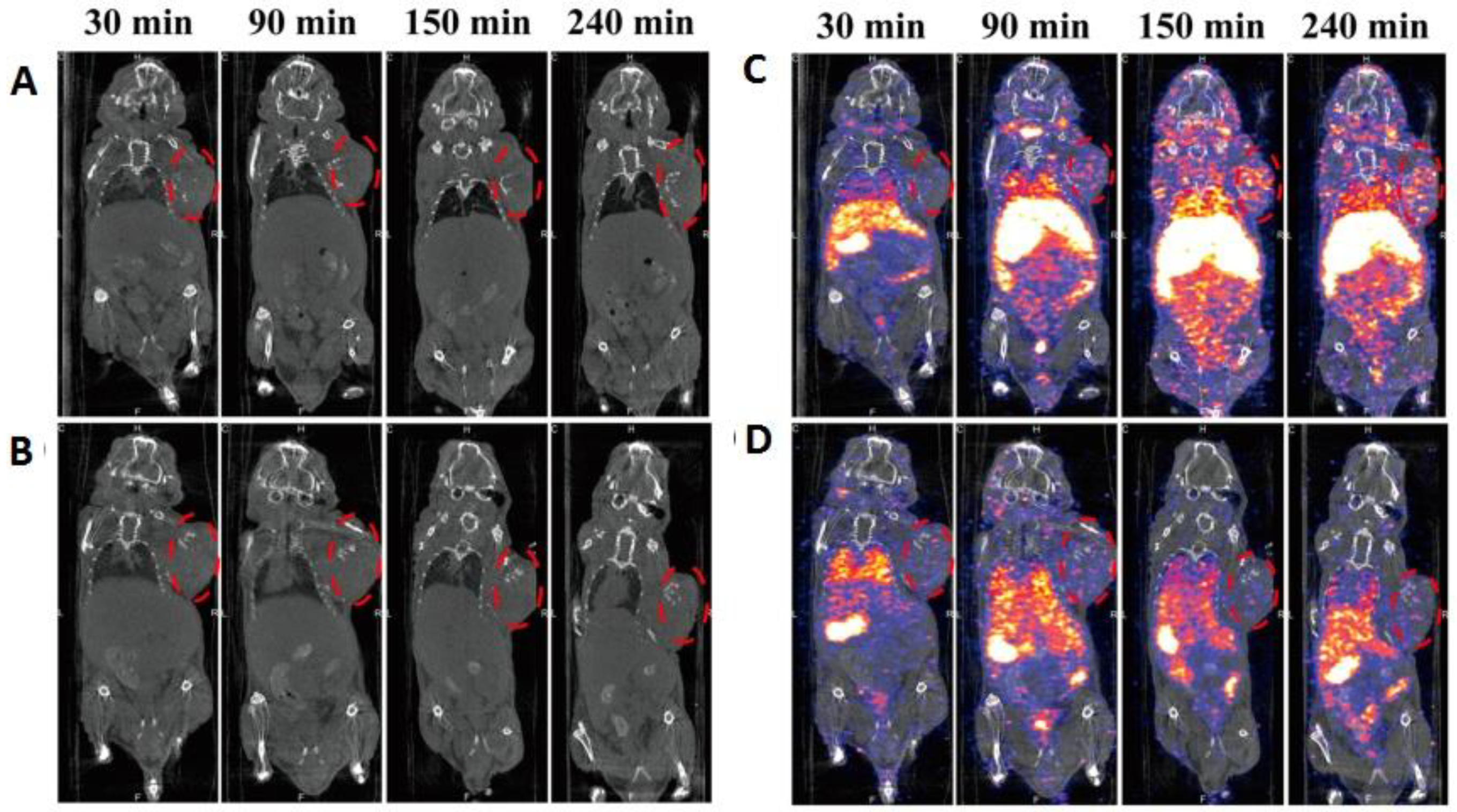 Nanomaterials 11 03022 g005