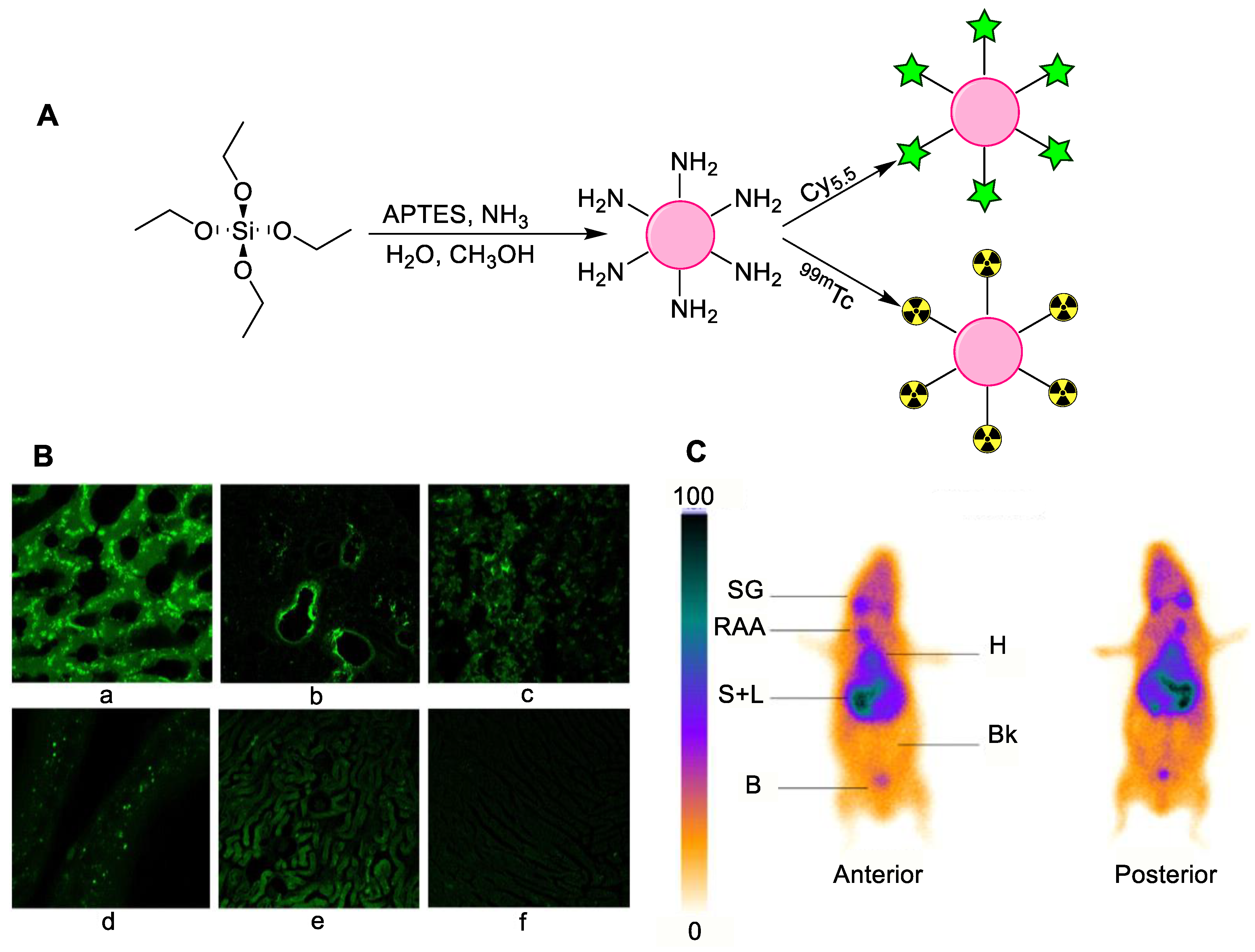 Nanomaterials 11 03022 g008