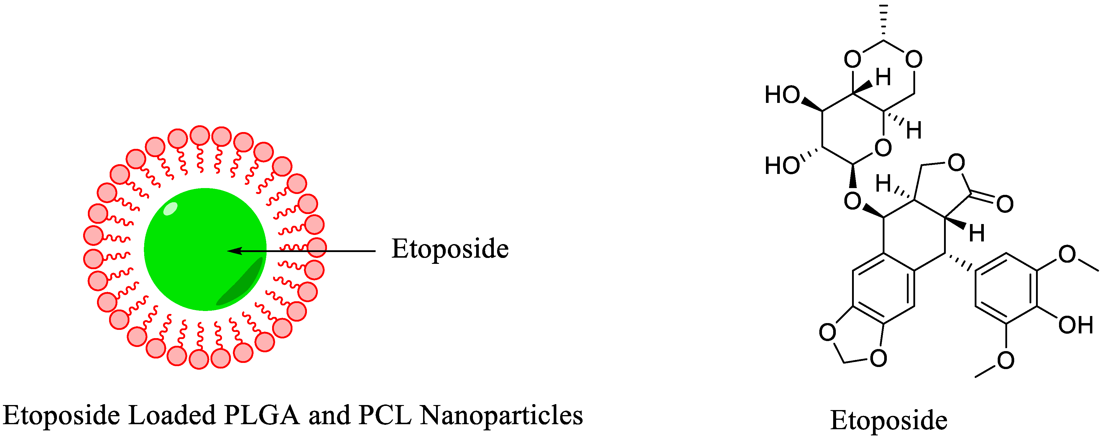 Nanomaterials 11 03022 g011