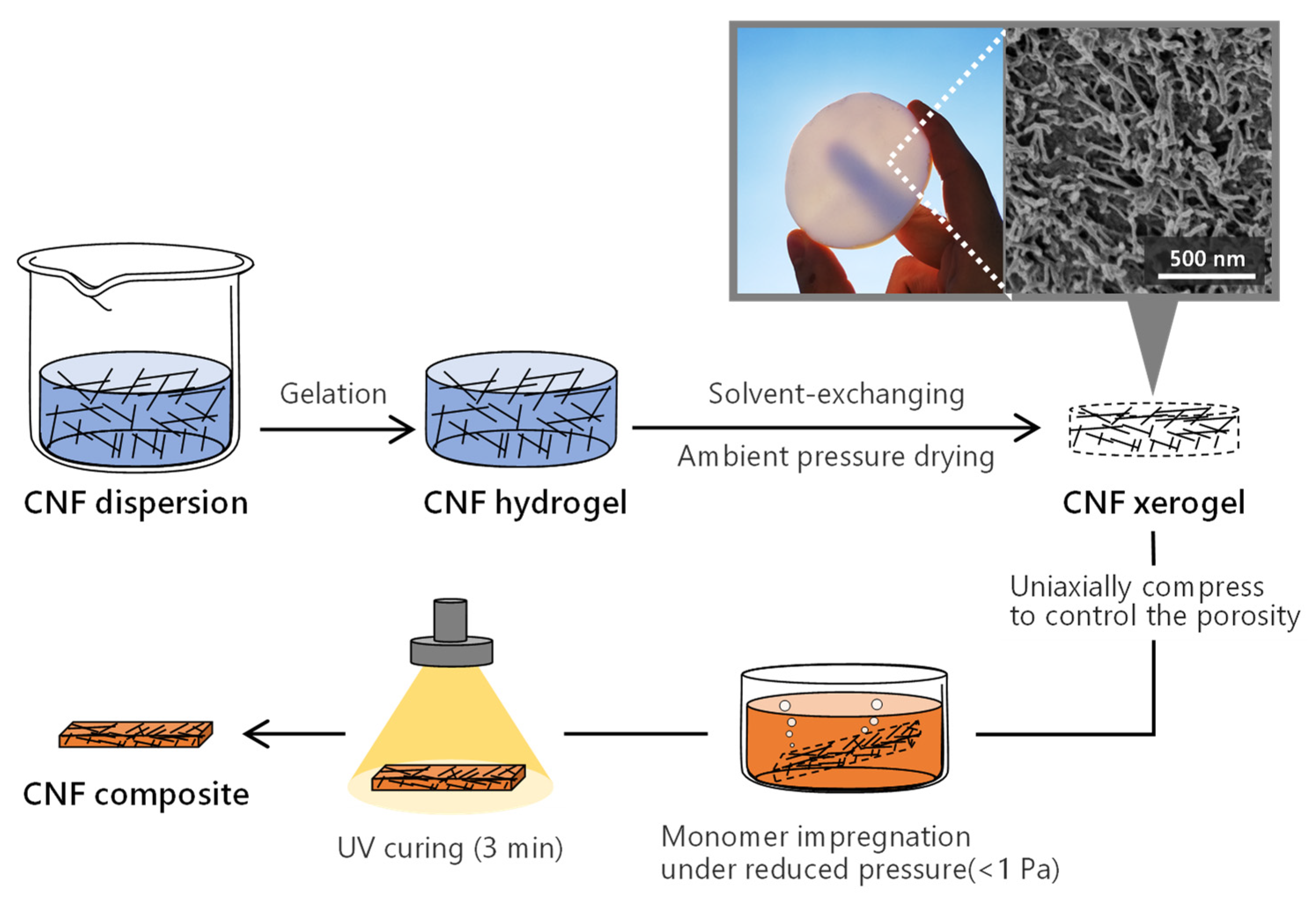 Nanomaterials 11 03032 g001