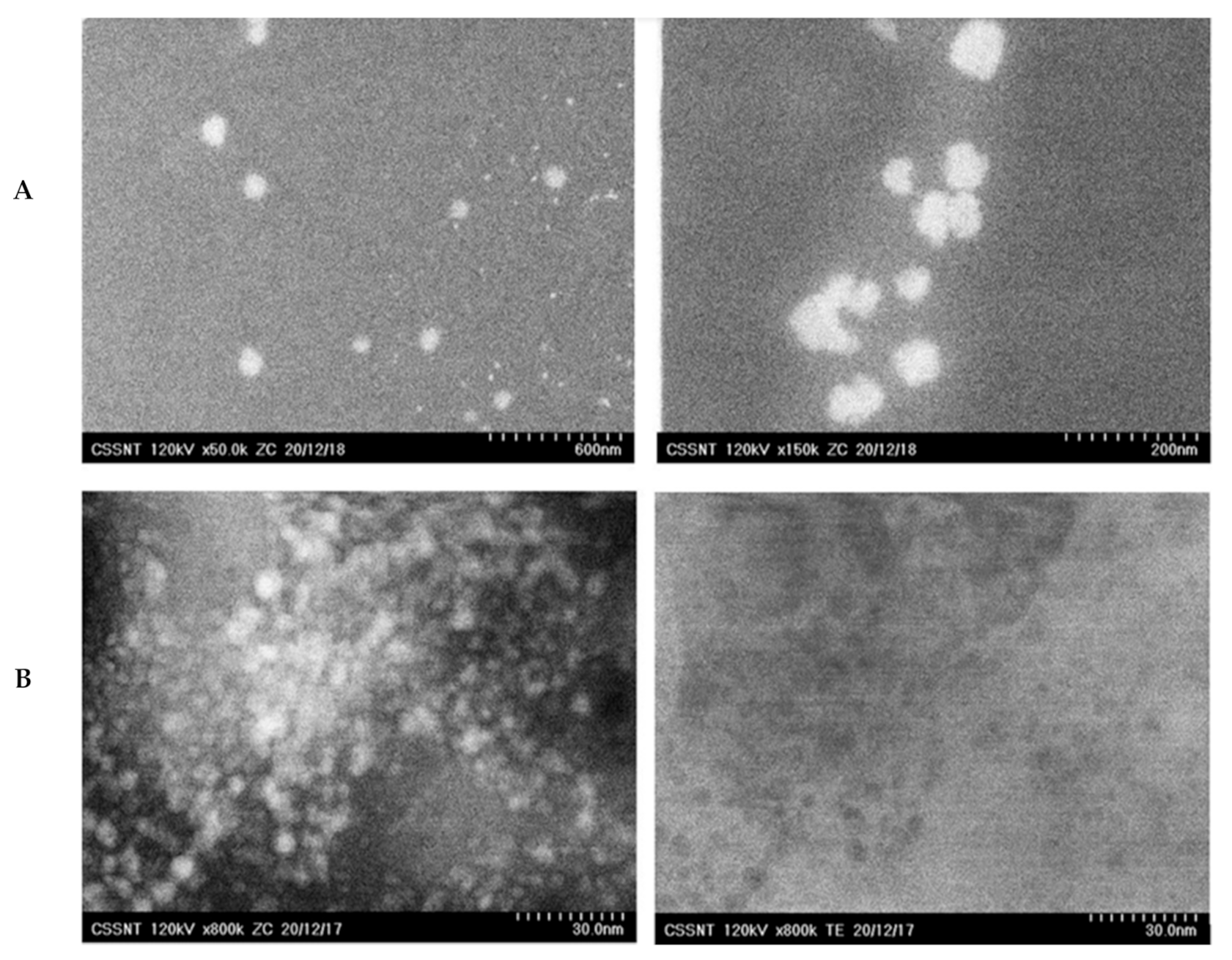 Nanomaterials 11 03035 g001