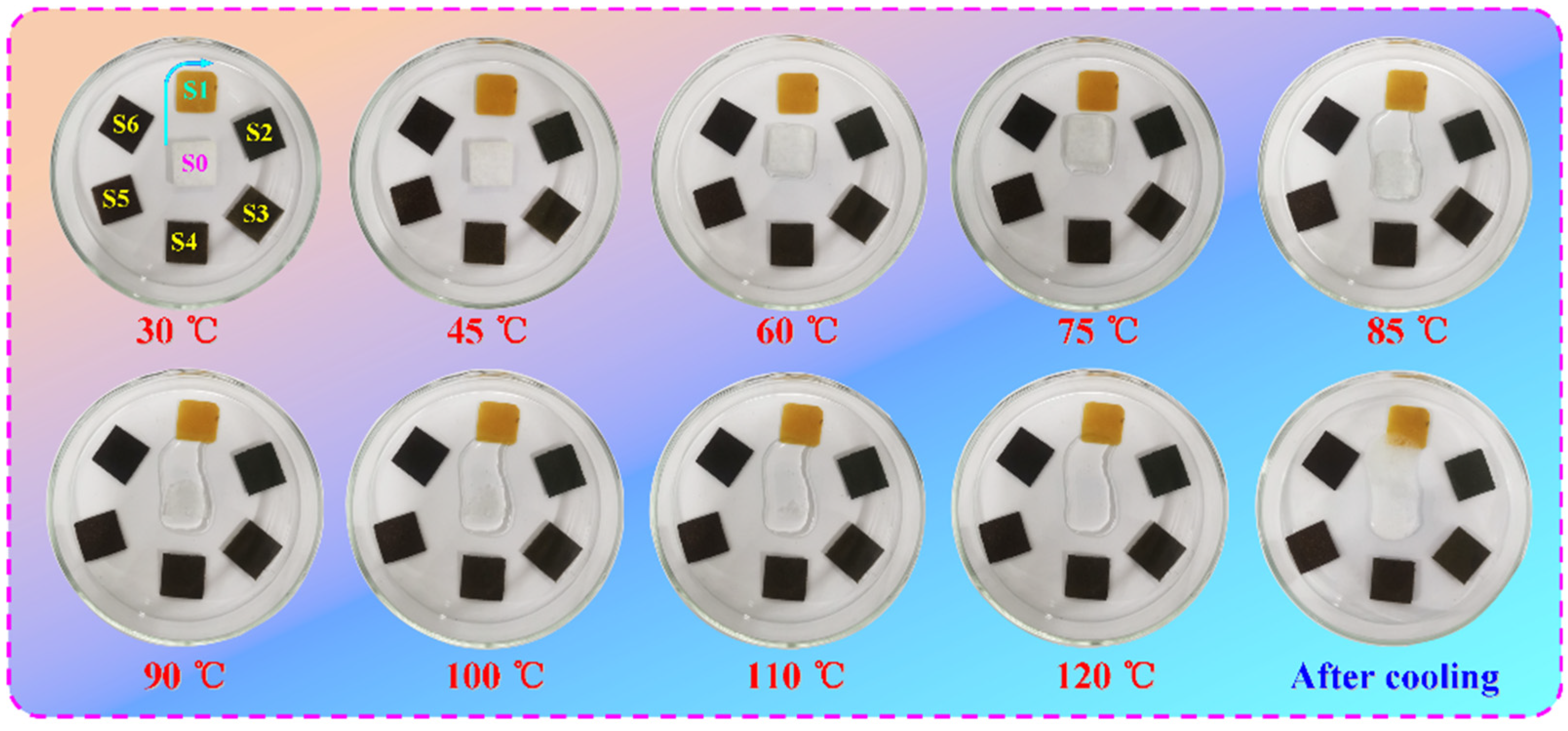 Nanomaterials 11 03038 g014